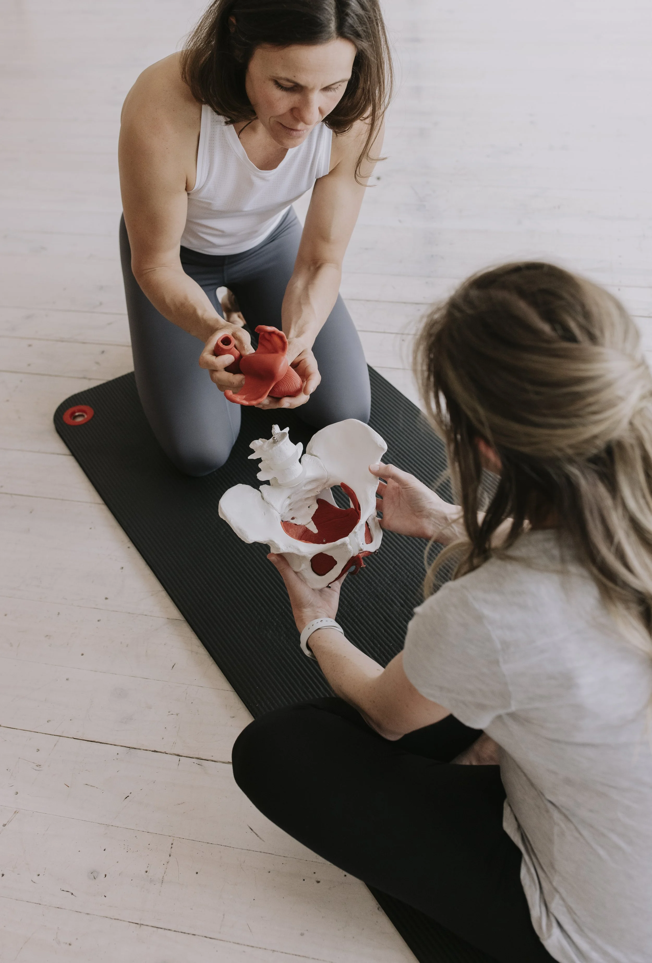 Two women in a yoga studio holding anatomical models of the pelvis and reproductive organs, one kneeling on a yoga mat and the other sitting cross-legged, discussing anatomy.