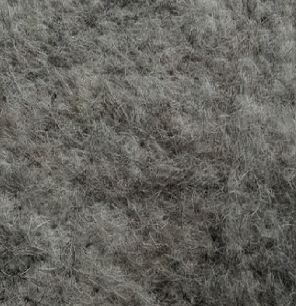 Close-up of a brown, furry animal, possibly a mammal, with dense fur.