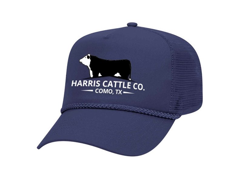 Stockman Navy / Baldy