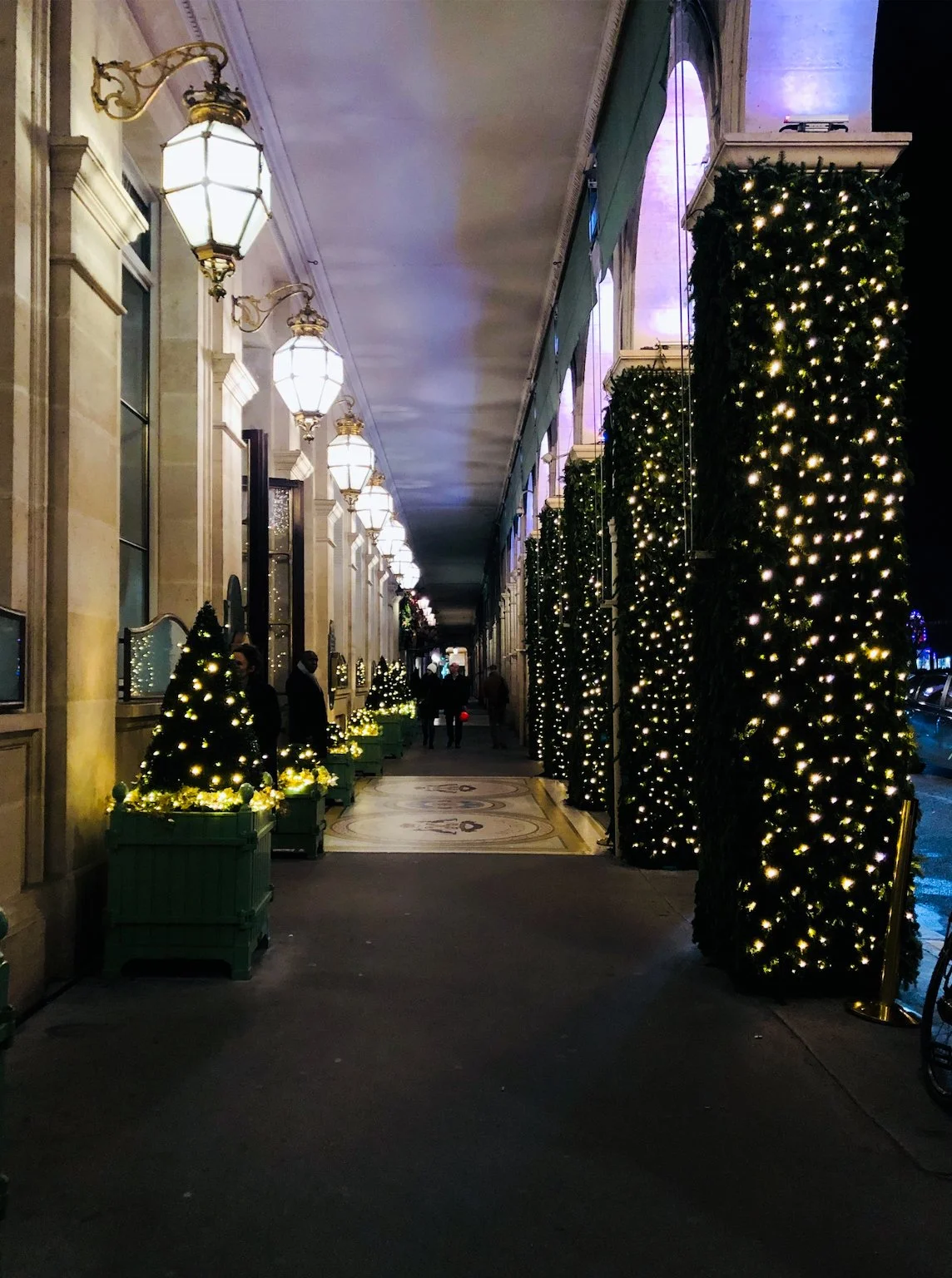 A Christmas decorated sidewalk with small trees in green planters and tall trees wrapped in string lights, with ornate lamp posts and building decorations.