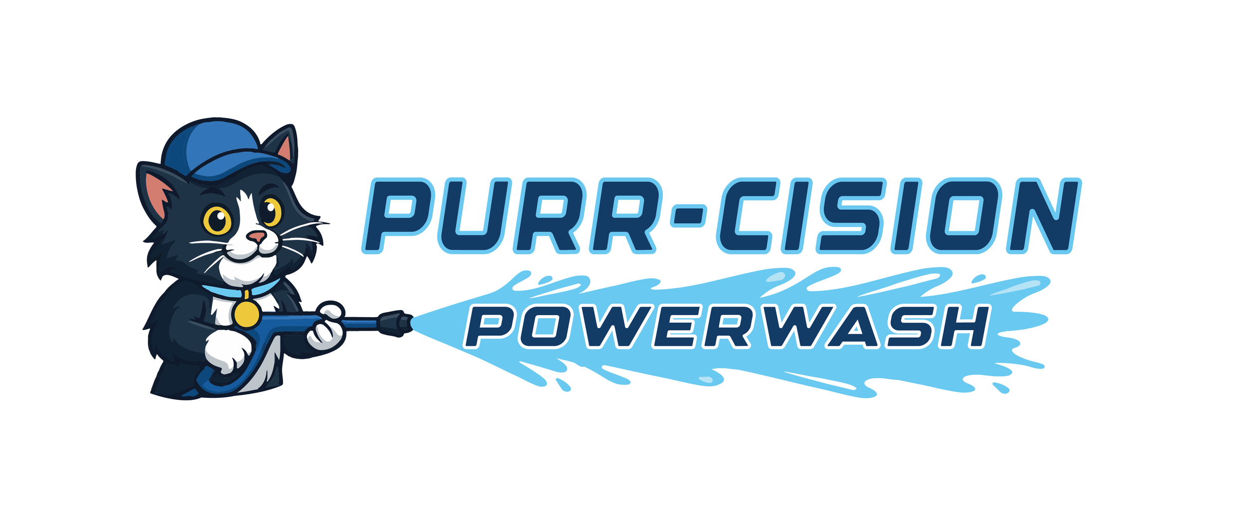 PURR-CISION_POWER_WASH_LOGO_whitebackground.png