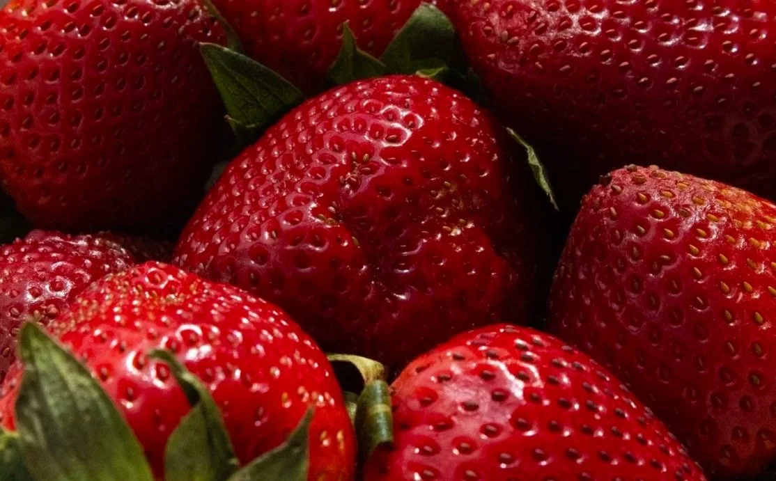 Ellie_big+strawberries+Large.jpg