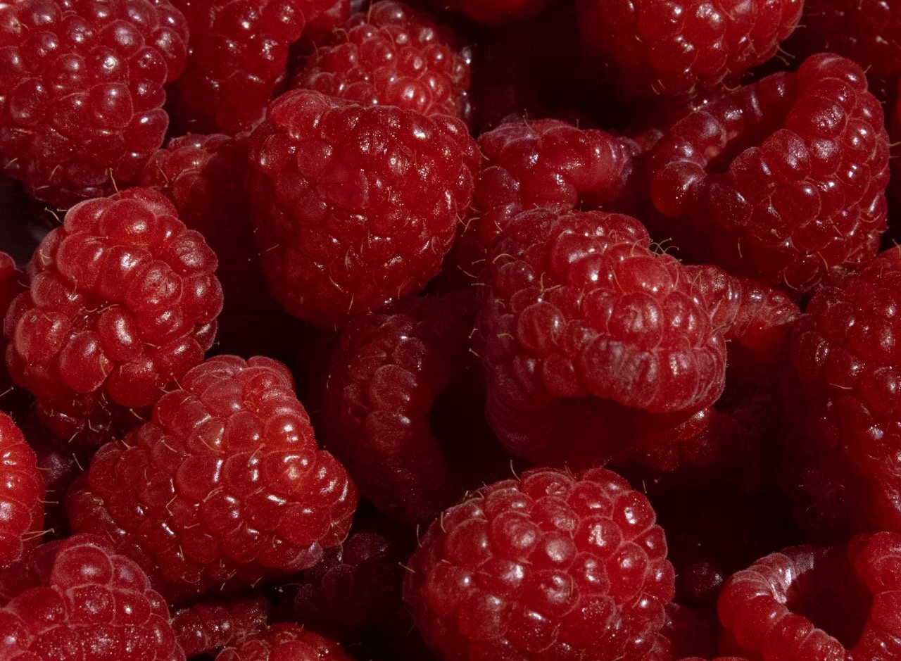 Ellie_raspberries Large.jpeg