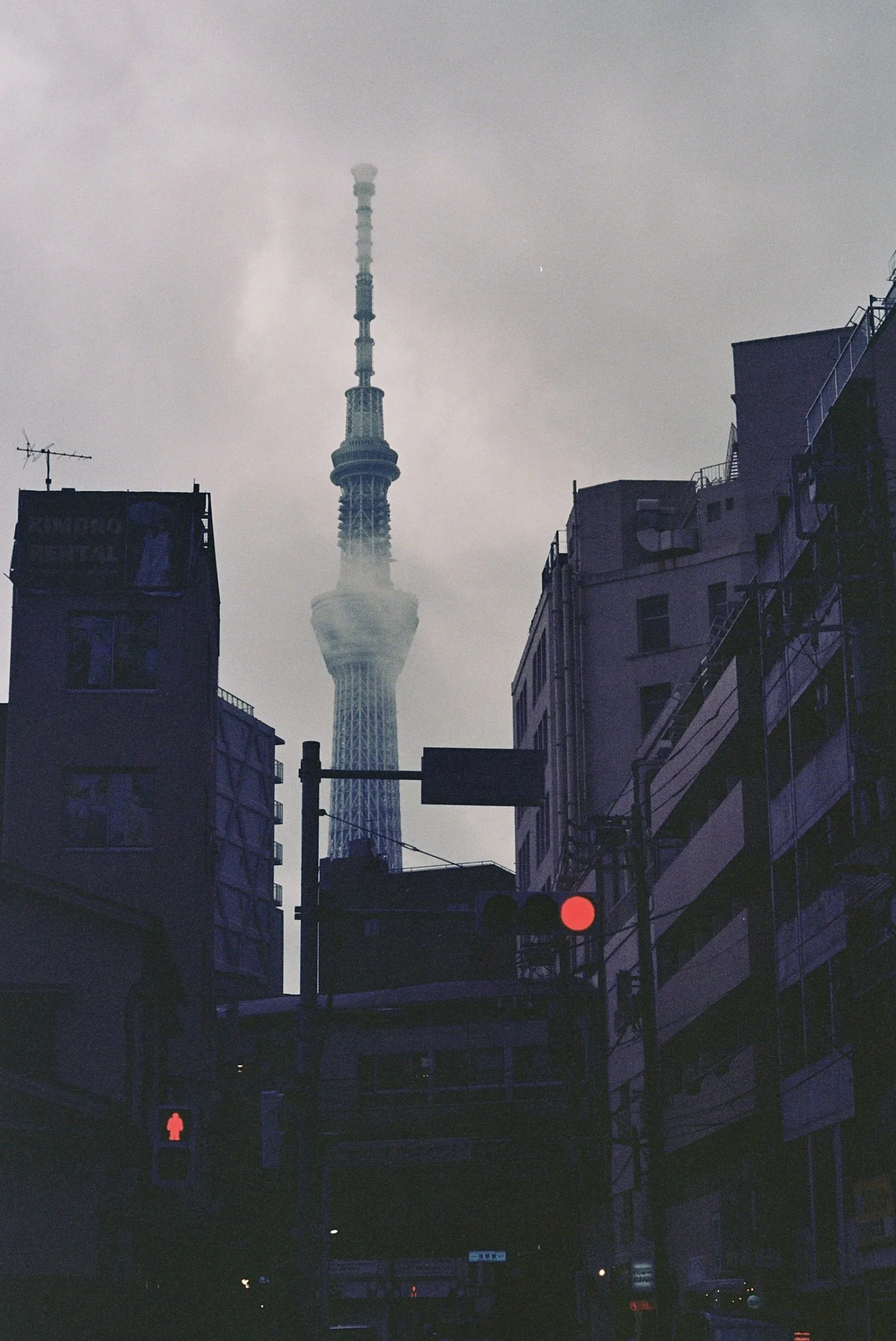 10A_0195.jpg