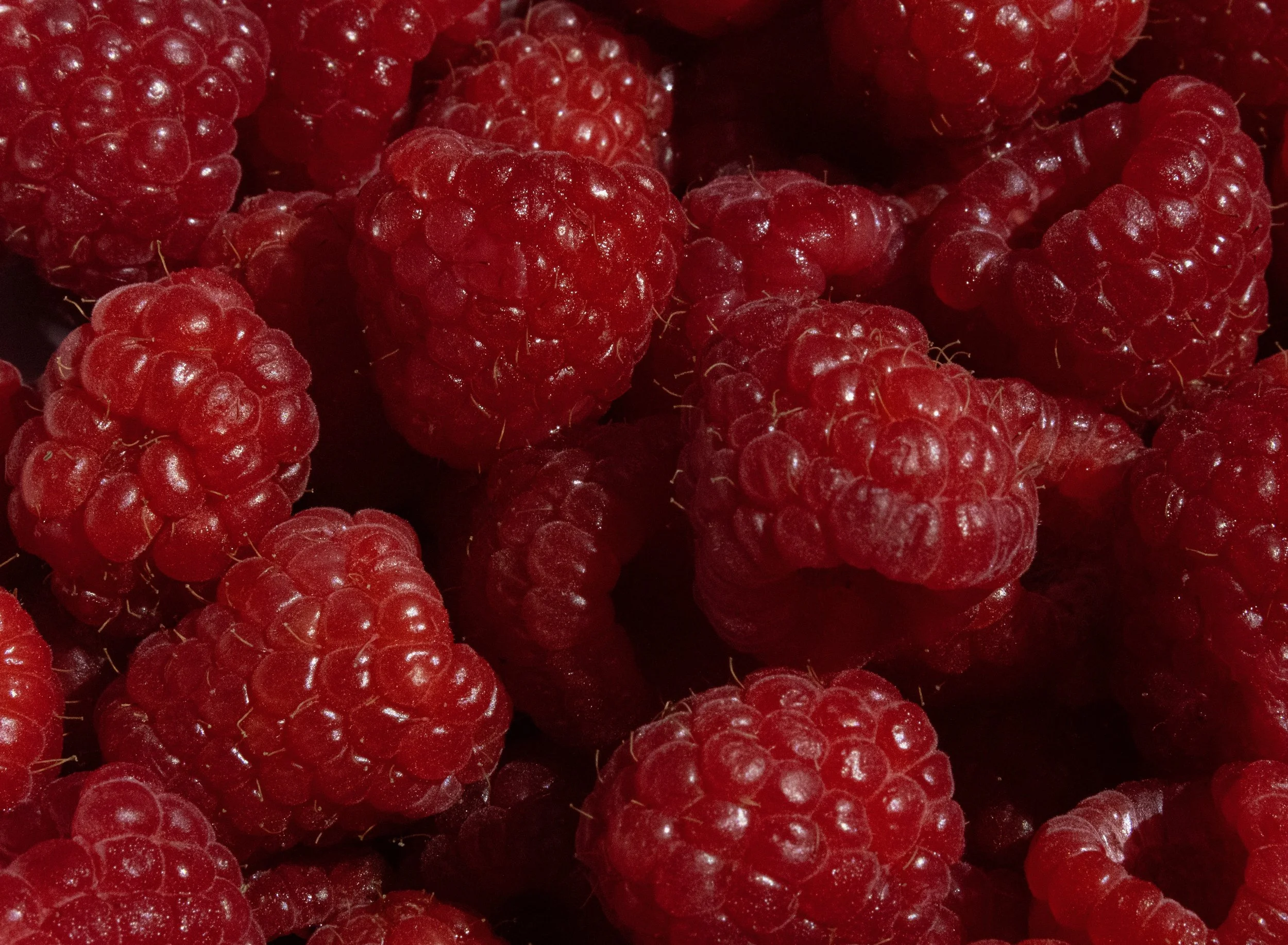 Raspberries Print