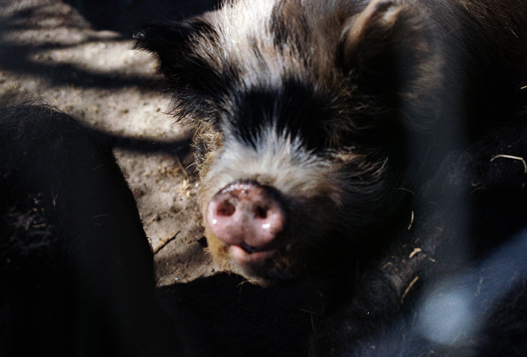 Untitled (55) 2.jpeg