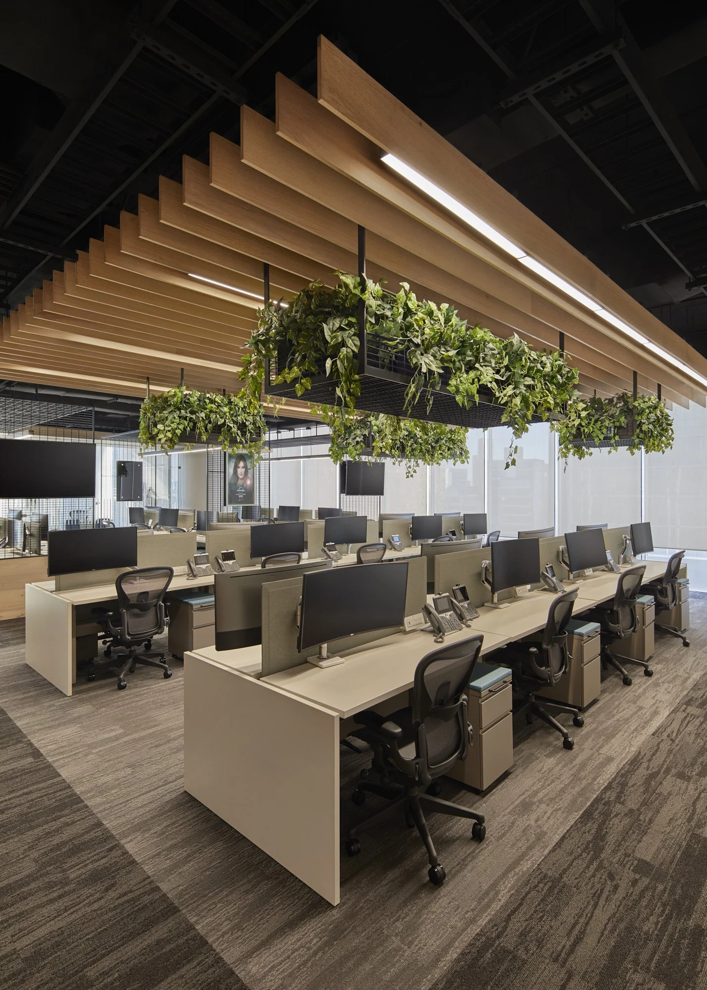 Proyecto corporativo, oficinas. NBC Universal México, Polanco Reforma Prado, Ciudad de México, Cdmx. HEGE Arquitectos