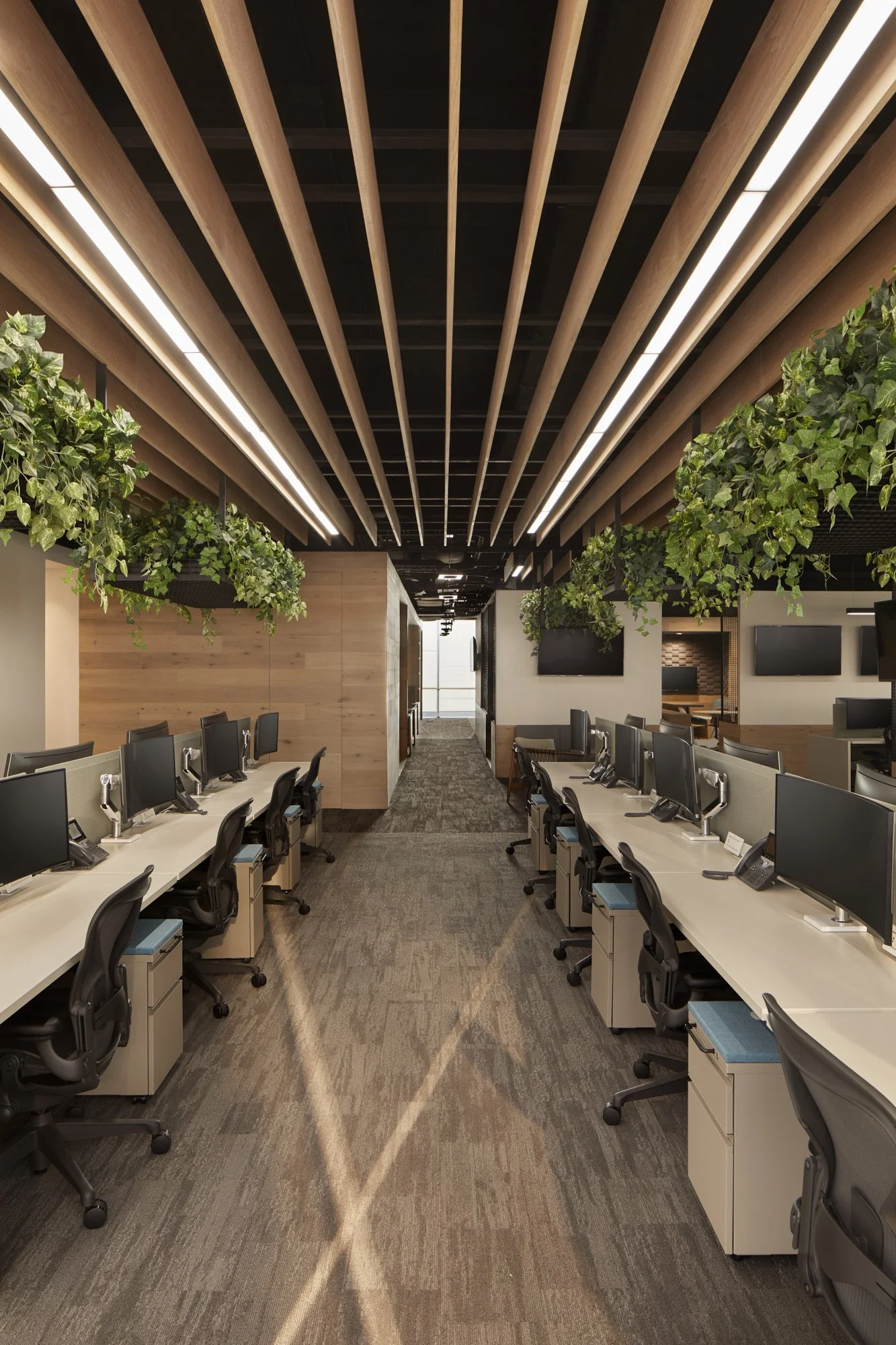 Proyecto corporativo, oficinas. NBC Universal México, Polanco Reforma Prado, Ciudad de México, Cdmx. HEGE Arquitectos