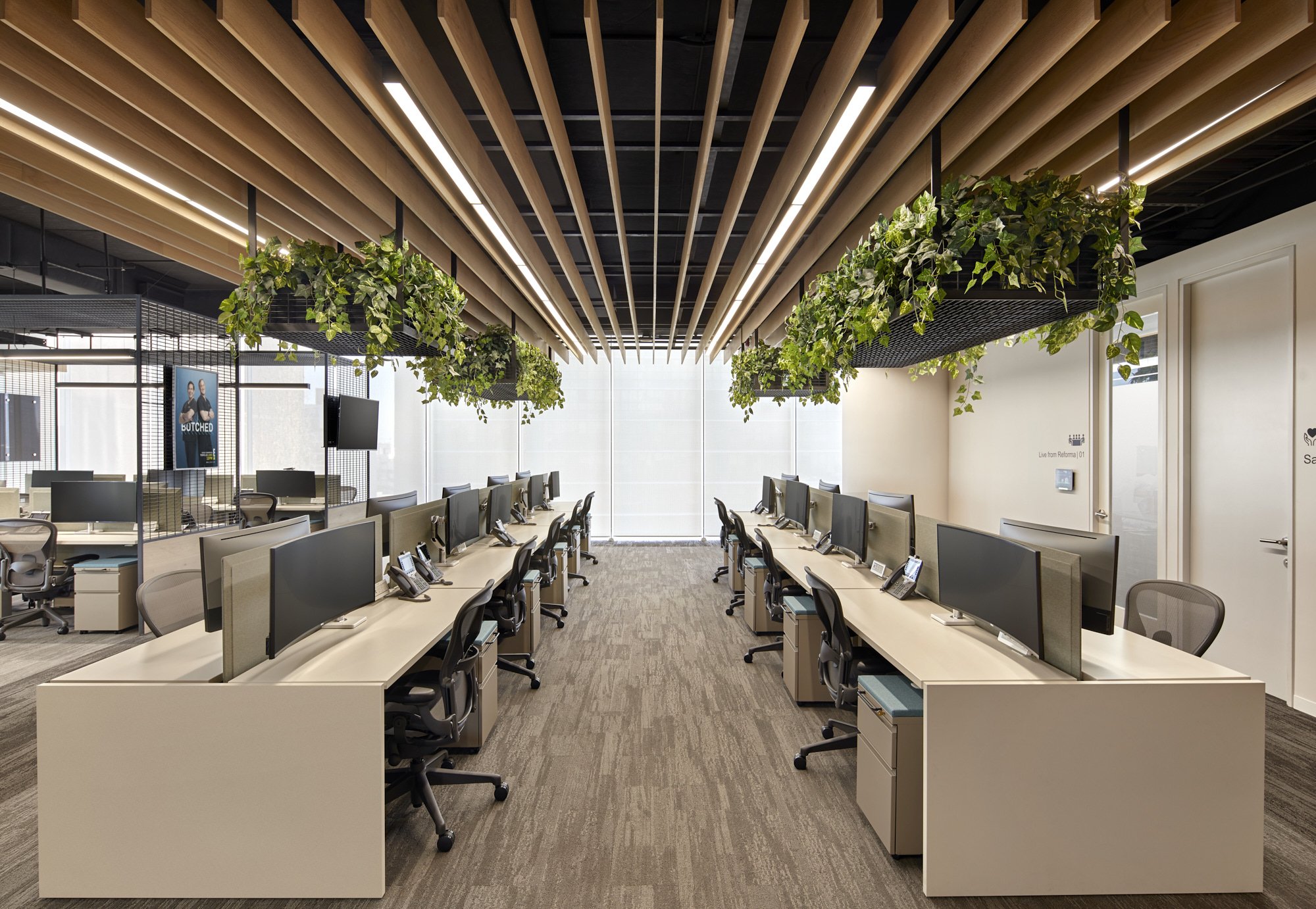 Proyecto corporativo, oficinas. NBC Universal México, Polanco Reforma Prado, Ciudad de México, Cdmx. HEGE Arquitectos