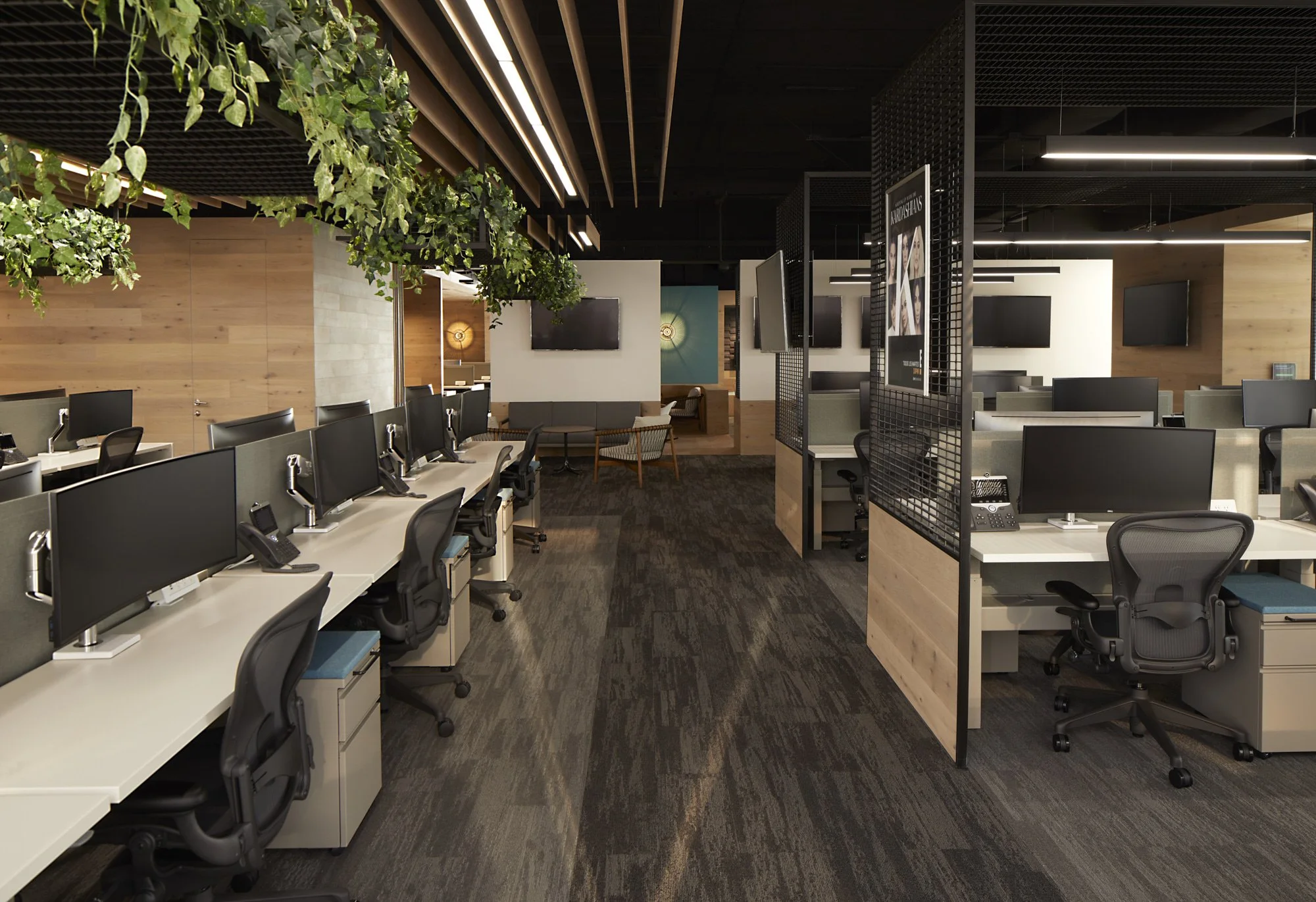 Proyecto corporativo, oficinas. NBC Universal México, Polanco Reforma Prado, Ciudad de México, Cdmx. HEGE Arquitectos