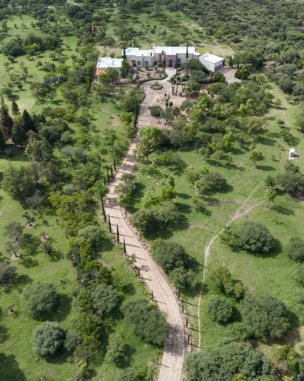 aerial-photography-drone-san-miguel-de-allende-mexico-sara-picazo-media-2.jpg