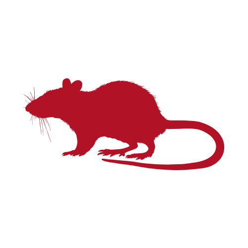 Red silhouette of a rat on a black background.