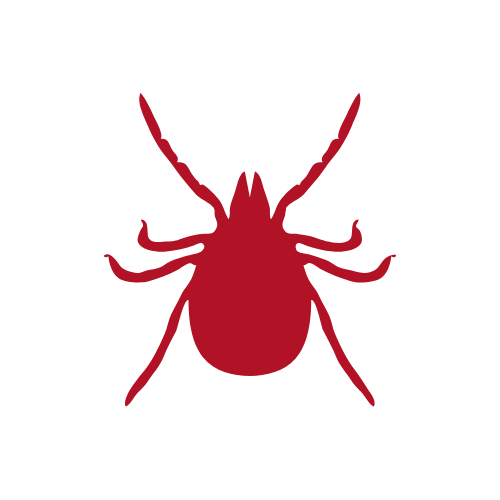 A red tick insect silhouette on a black background.
