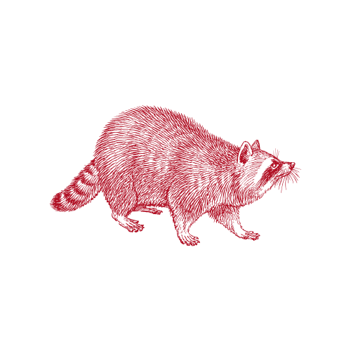 A red silhouette of a raccoon on a black background.