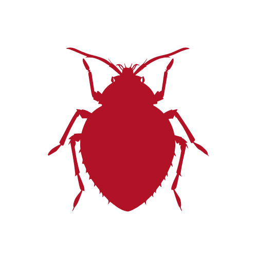 Silhouette of a bed bug on a black background.