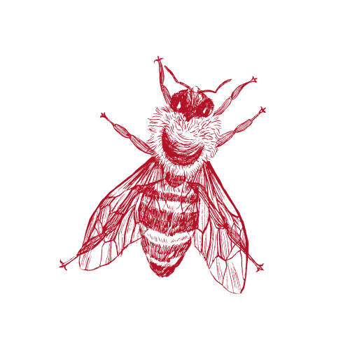 Red line drawing of a bee on a black background.