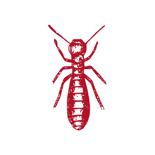 Red and black illustration of a termite with antennae, six legs, and segmented body.