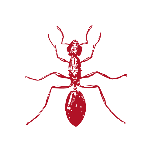 Red outline of an ant with six legs and antennae on a black background.