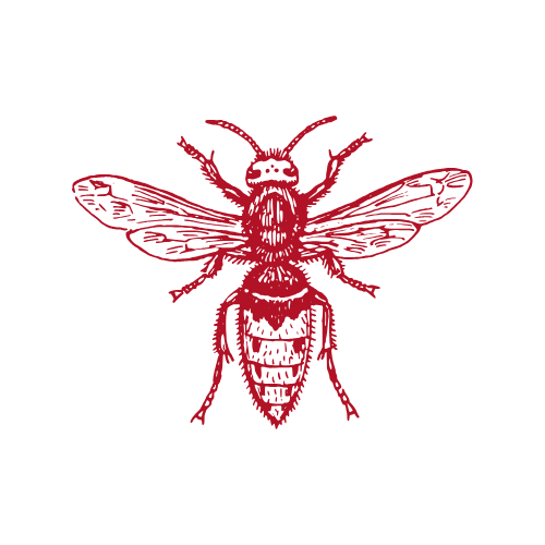 A red line drawing of a bee on a black background.