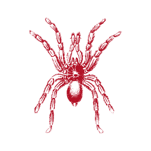 A red spider illustration on a black background