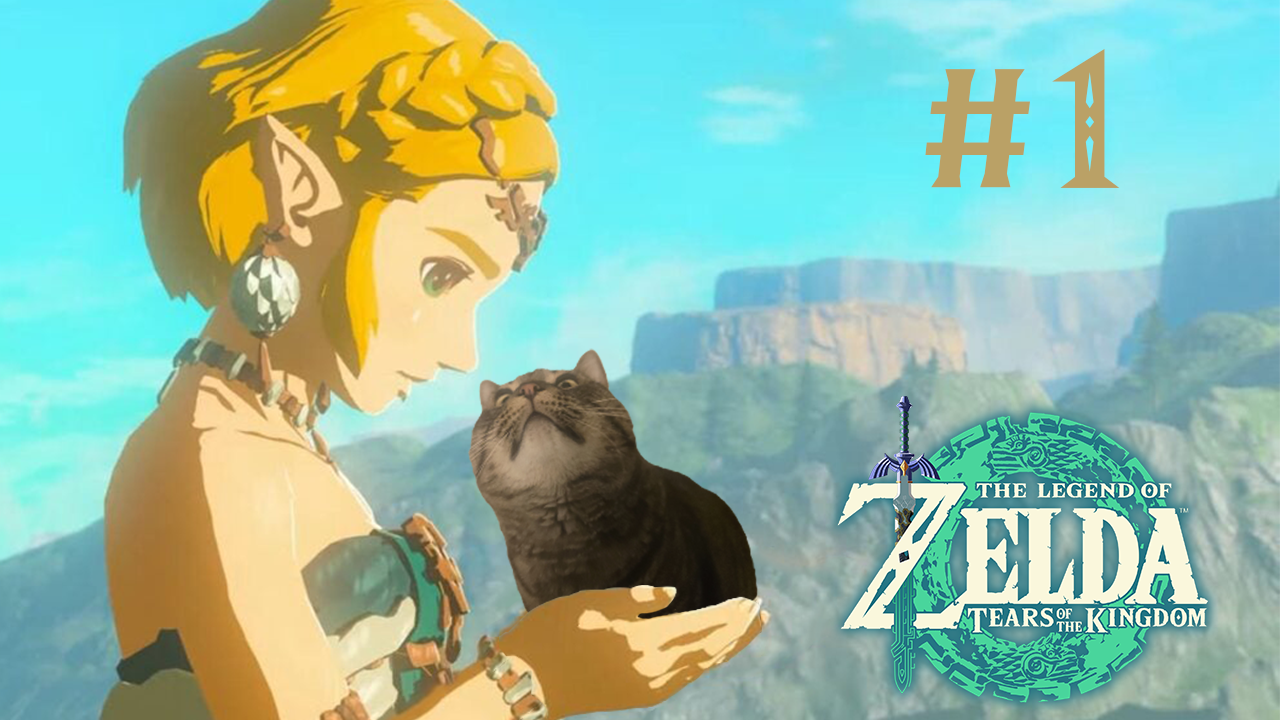 🟢 The Legend of Zelda: Tears of the Kingdom