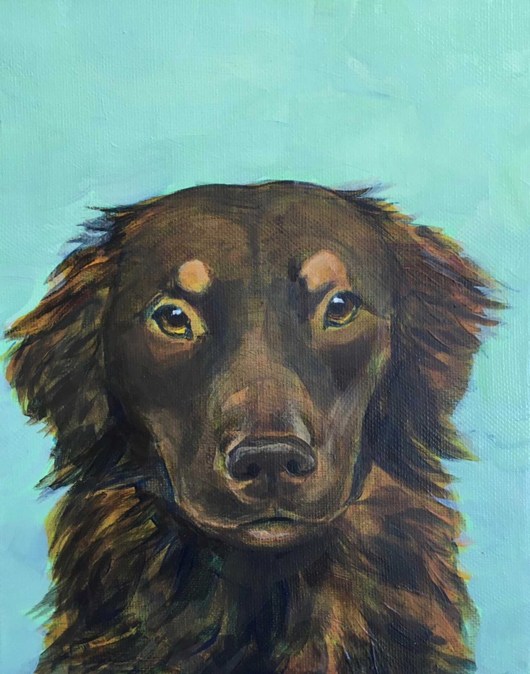 A painting of a brown long-haired dog with a serious expression, set against a turquoise background.