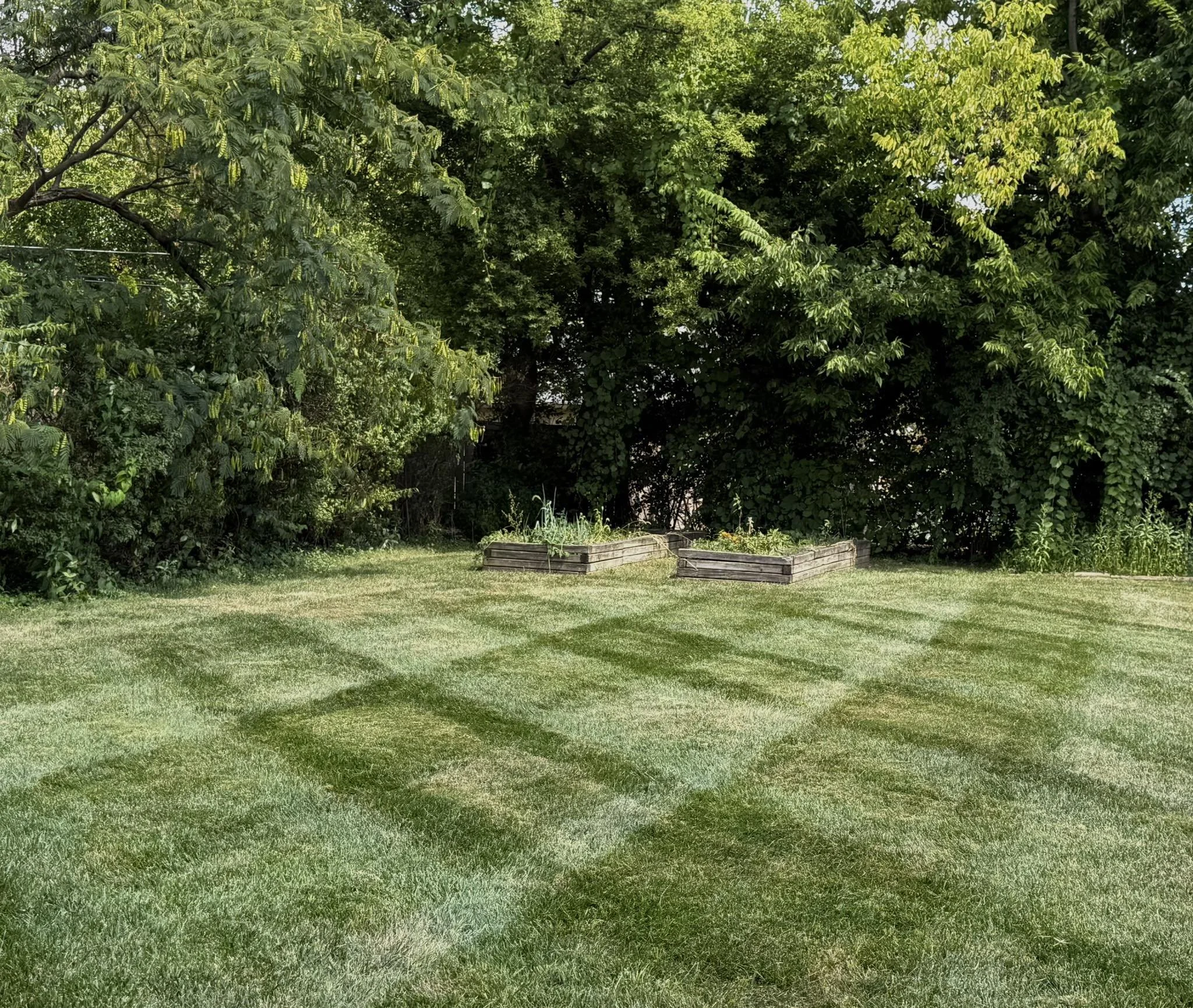 Well-maintained backyard with freshly mowed grass and three wooden garden beds filled with plants, surrounded by lush trees and bushes.