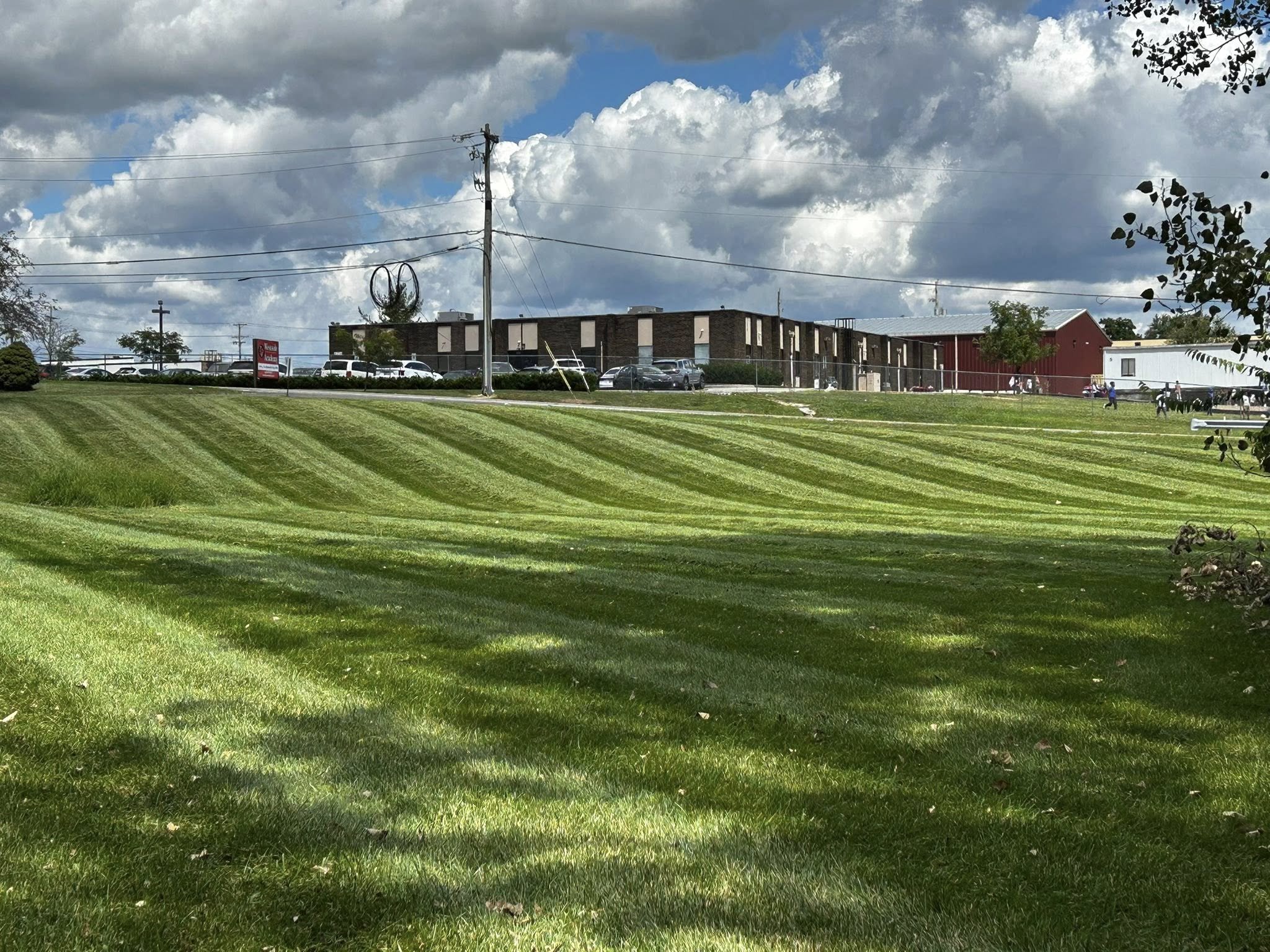A large green lawn with freshly cut grass, with visible stripes from the mowing pattern. In the background, there is a commercial building with cars parked along it, under a partly cloudy sky.