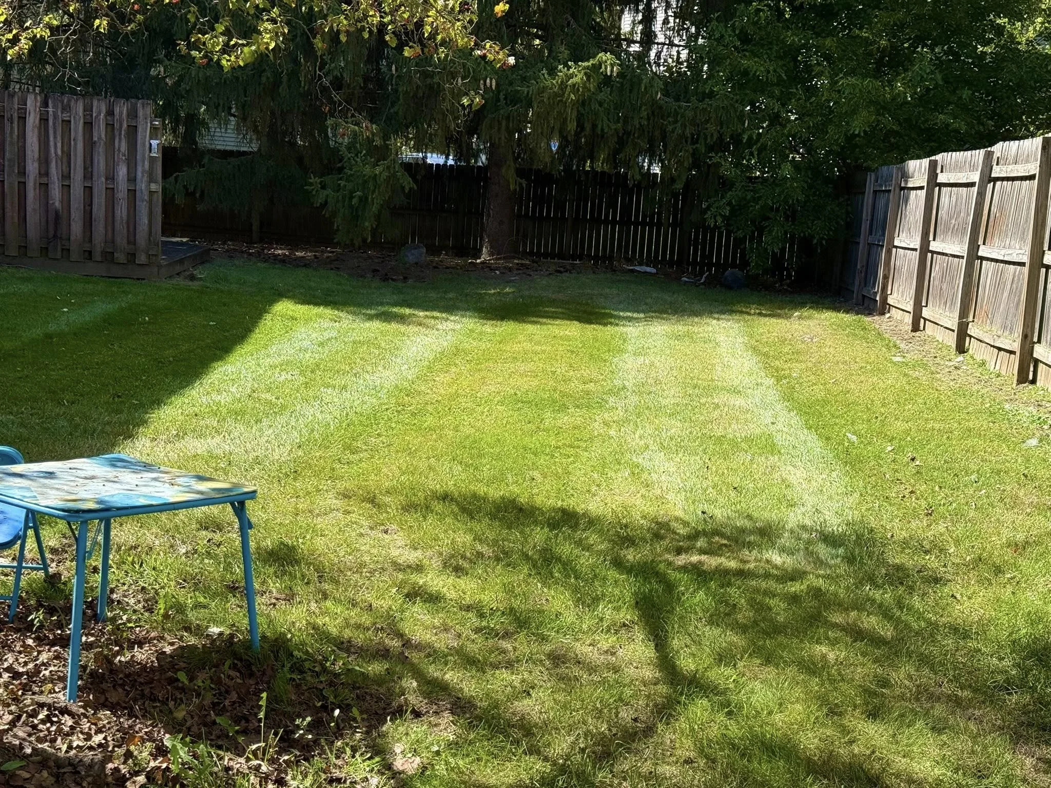 A backyard with a green lawn, a wooden fence on both sides, a large tree, and a small blue table with blue chairs on the left.