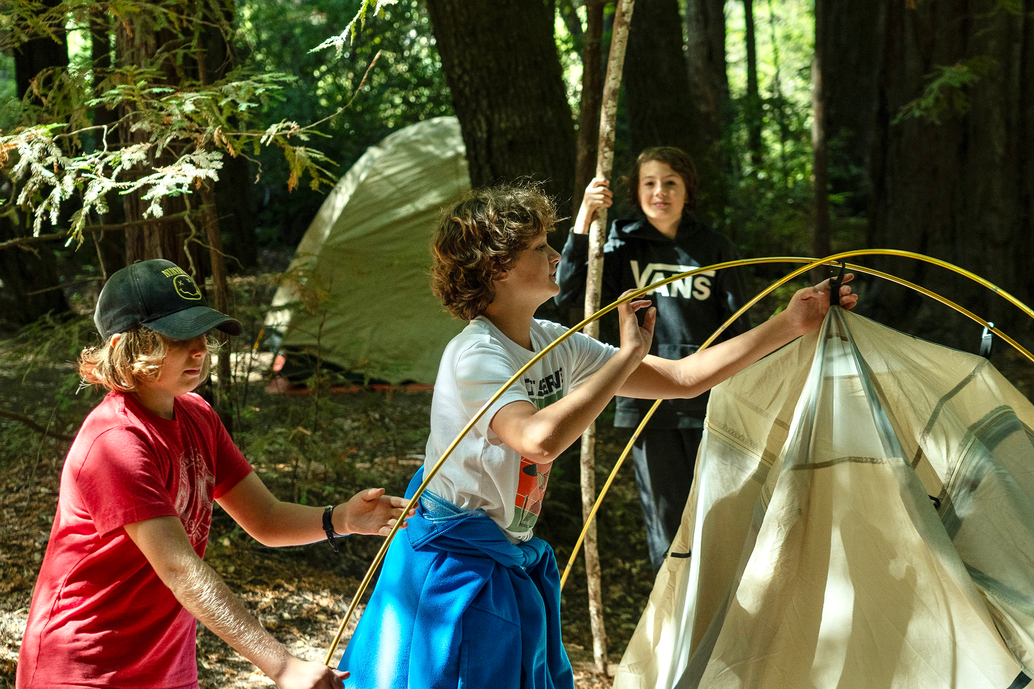 Three children setting up a tent in a forest, surrounded by trees and sunlight filtering through the leaves.