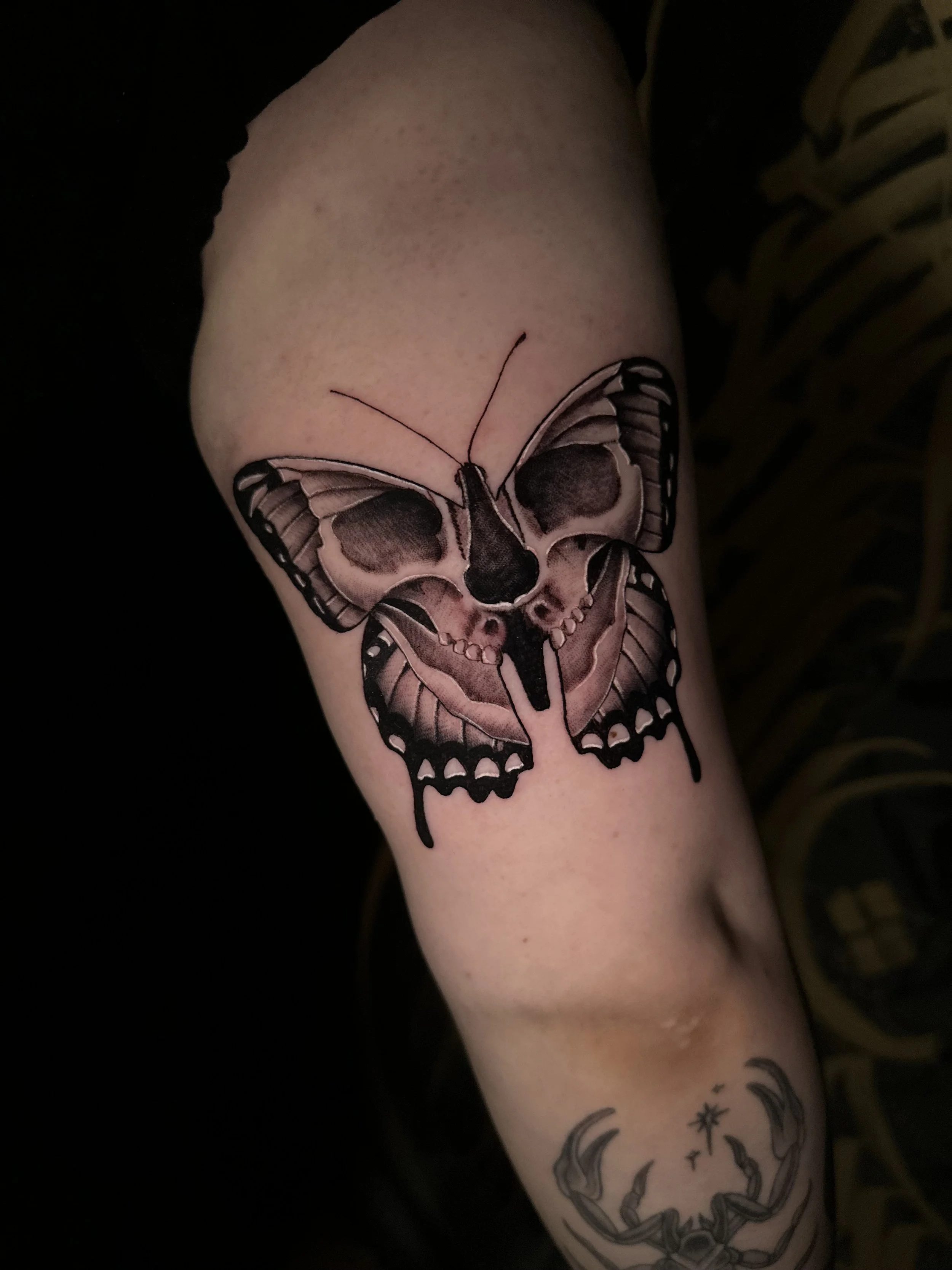 Tattoo of a moth with a skull and snake design on person's upper arm.
