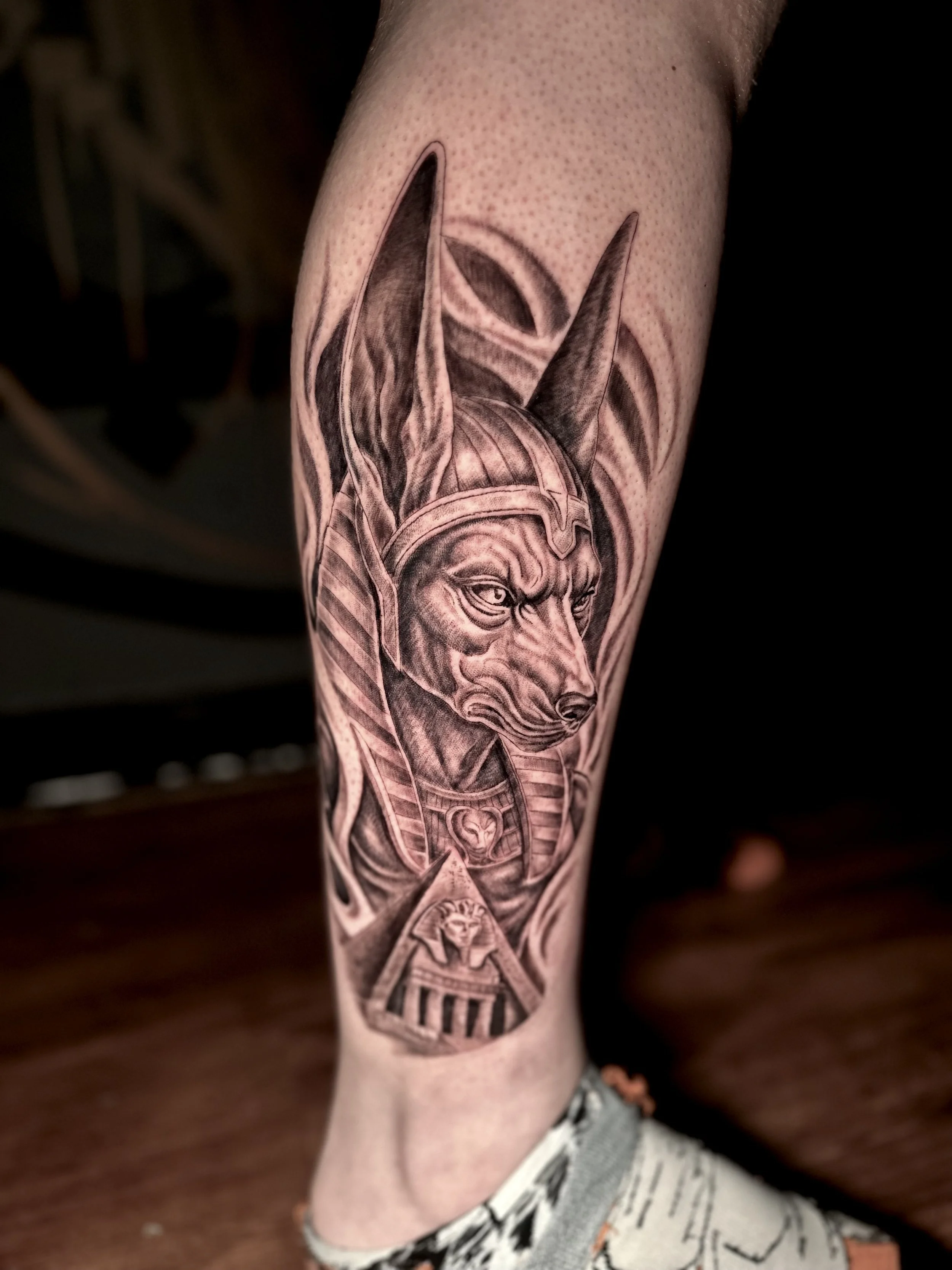 Tattoo of a dog with Egyptian attire and accessories, including a headdress and necklace, on a person's forearm.
