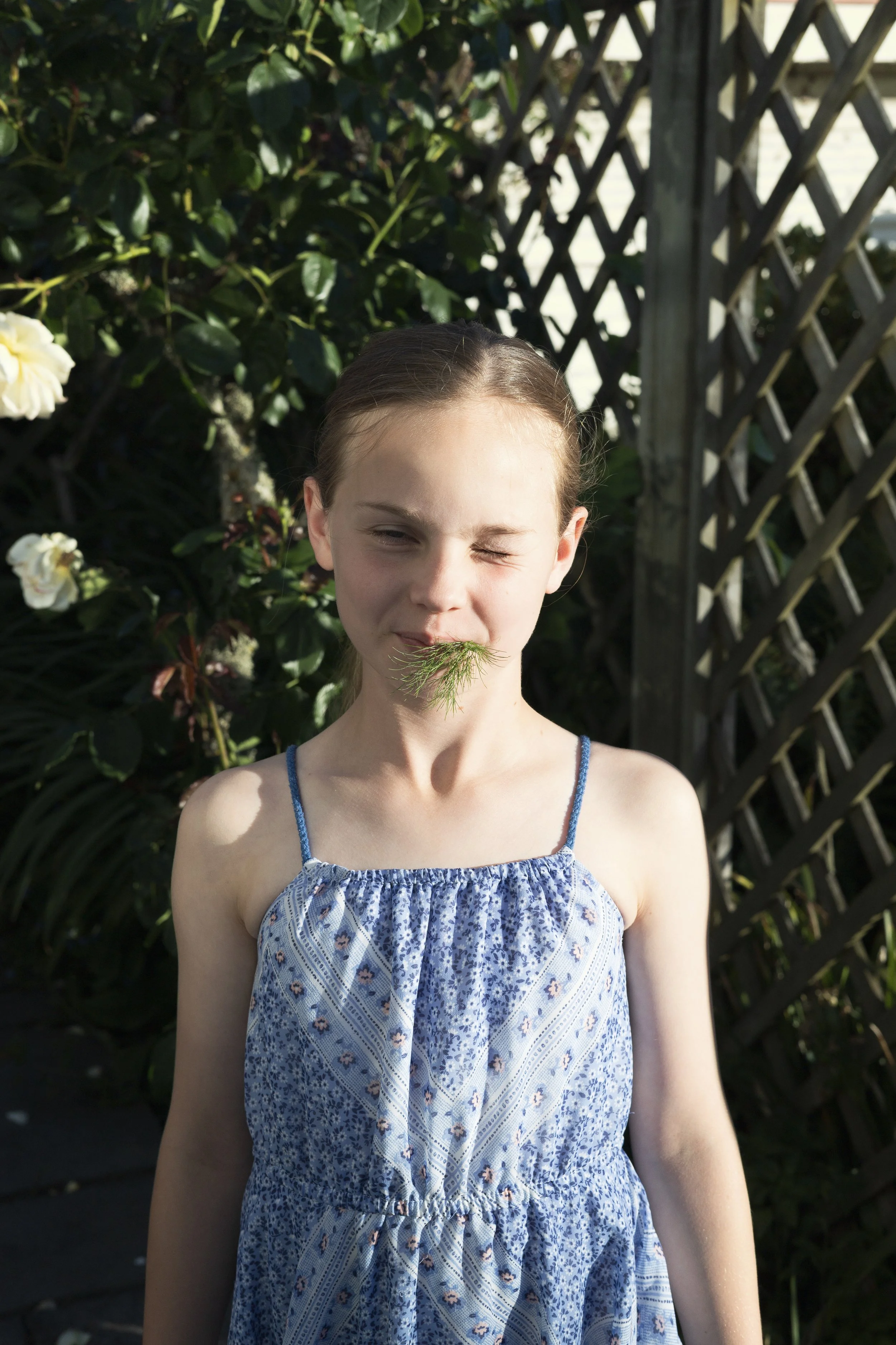A girl with a sprig of greenery in her mouth, wearing a blue and white patterned dress, standing outdoors in front of green foliage and a wooden lattice fence.