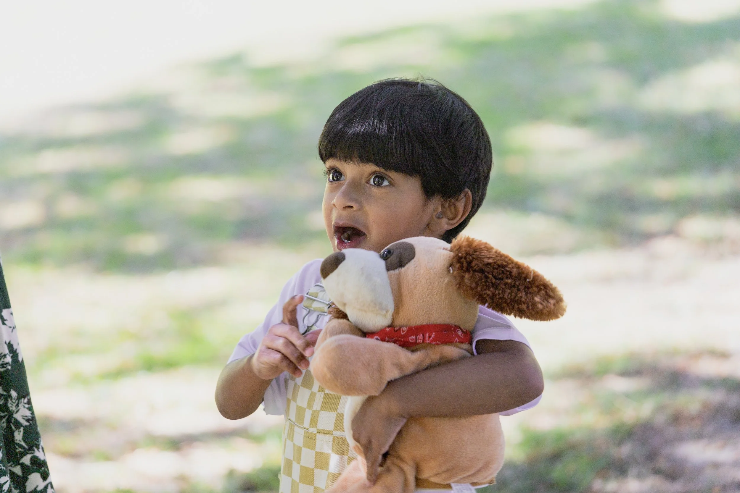 A young boy with black hair holding a stuffed dog toy outdoors.