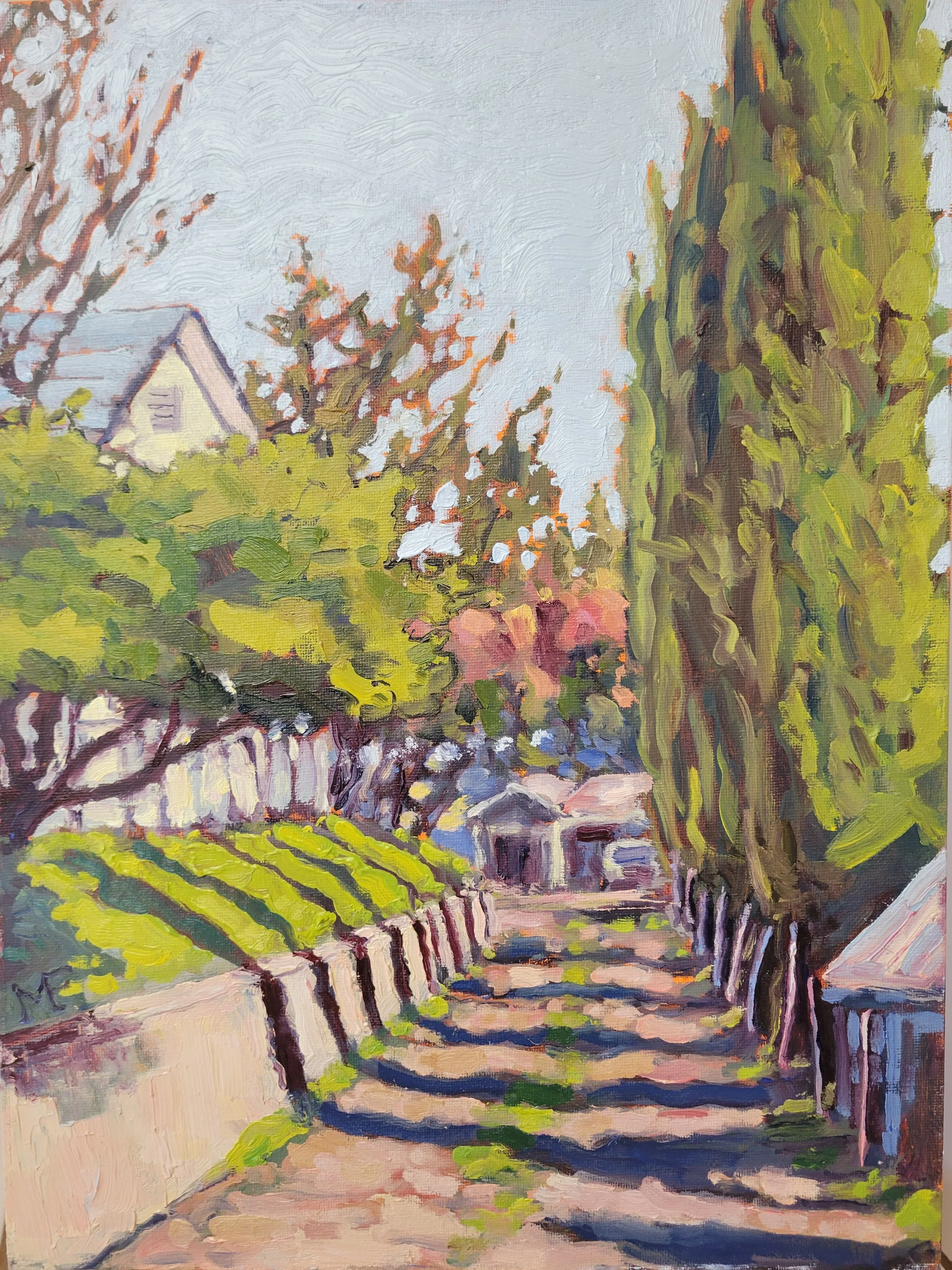 Lillian CT Placerville, CA 12 by 16.jpg