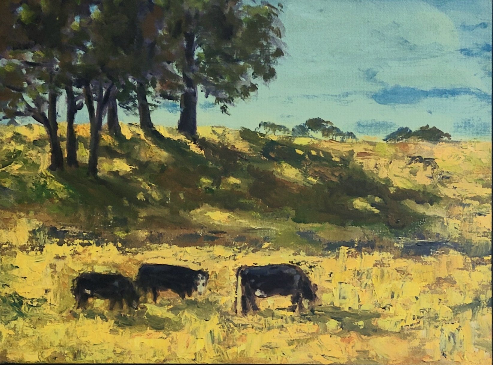 Cows outside of Rancho Murieta 9 by 12.jpg