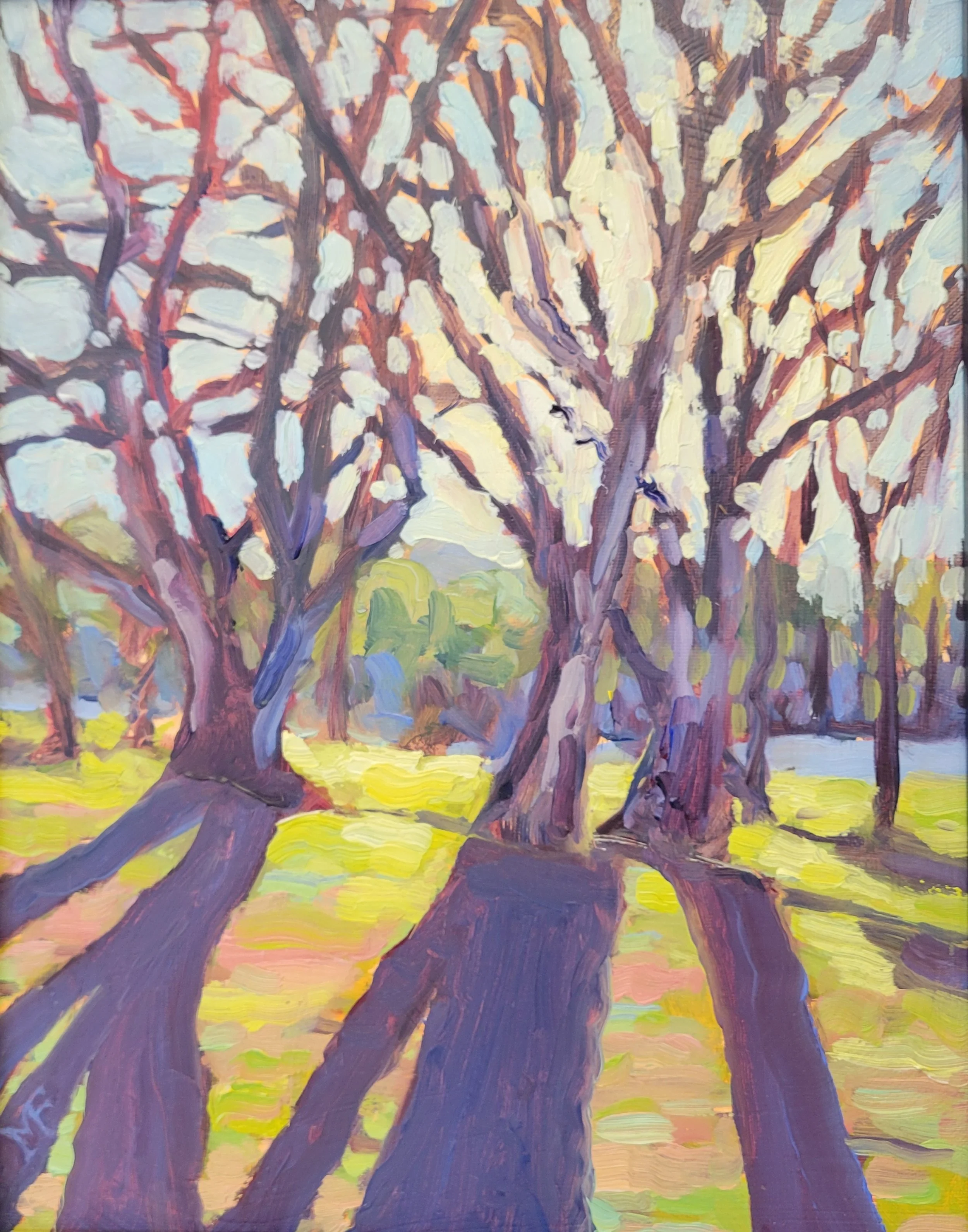 Tree Shadows Gold Hill 11 by 14.jpg