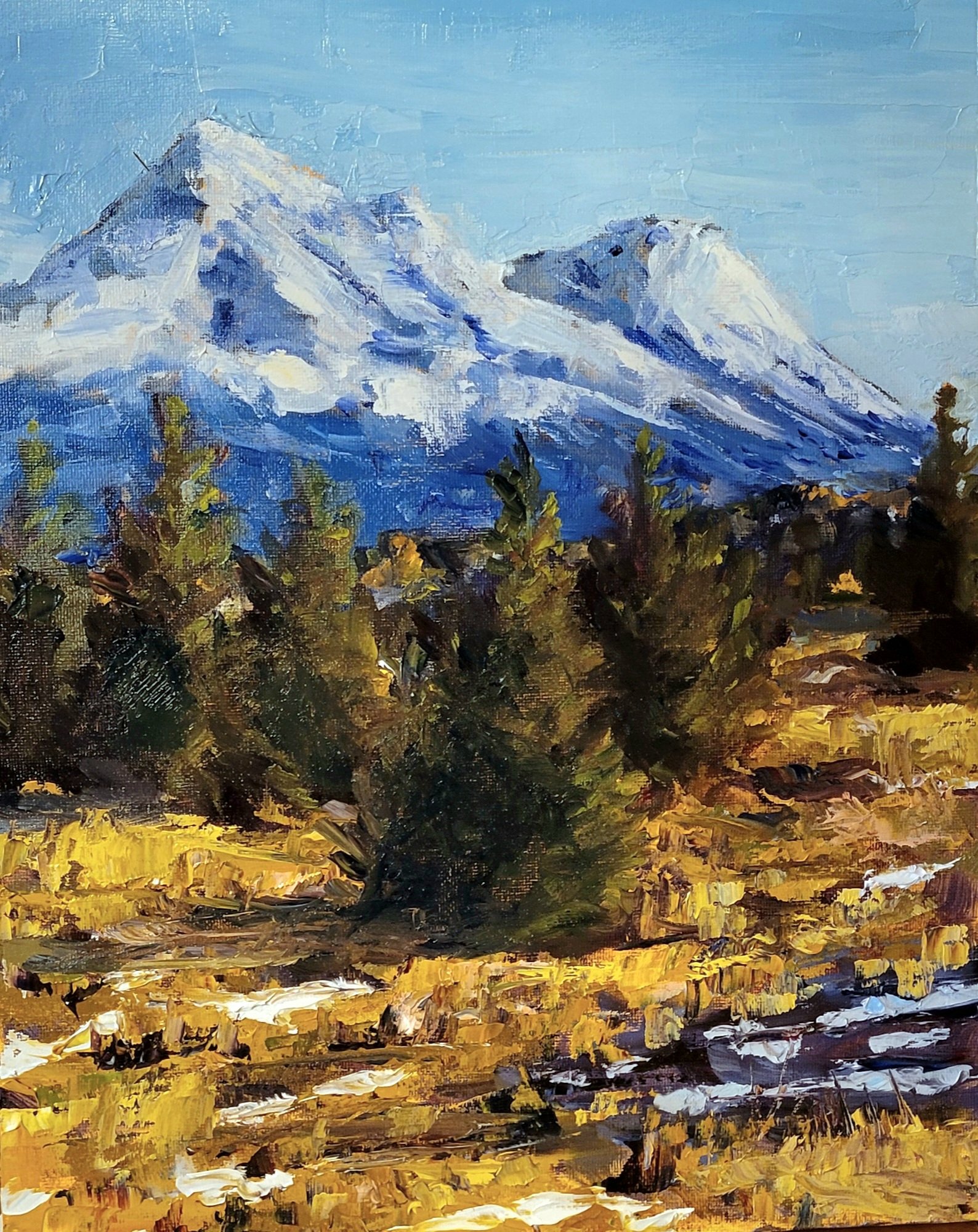 Mt Shasta 11 by 14.jpg