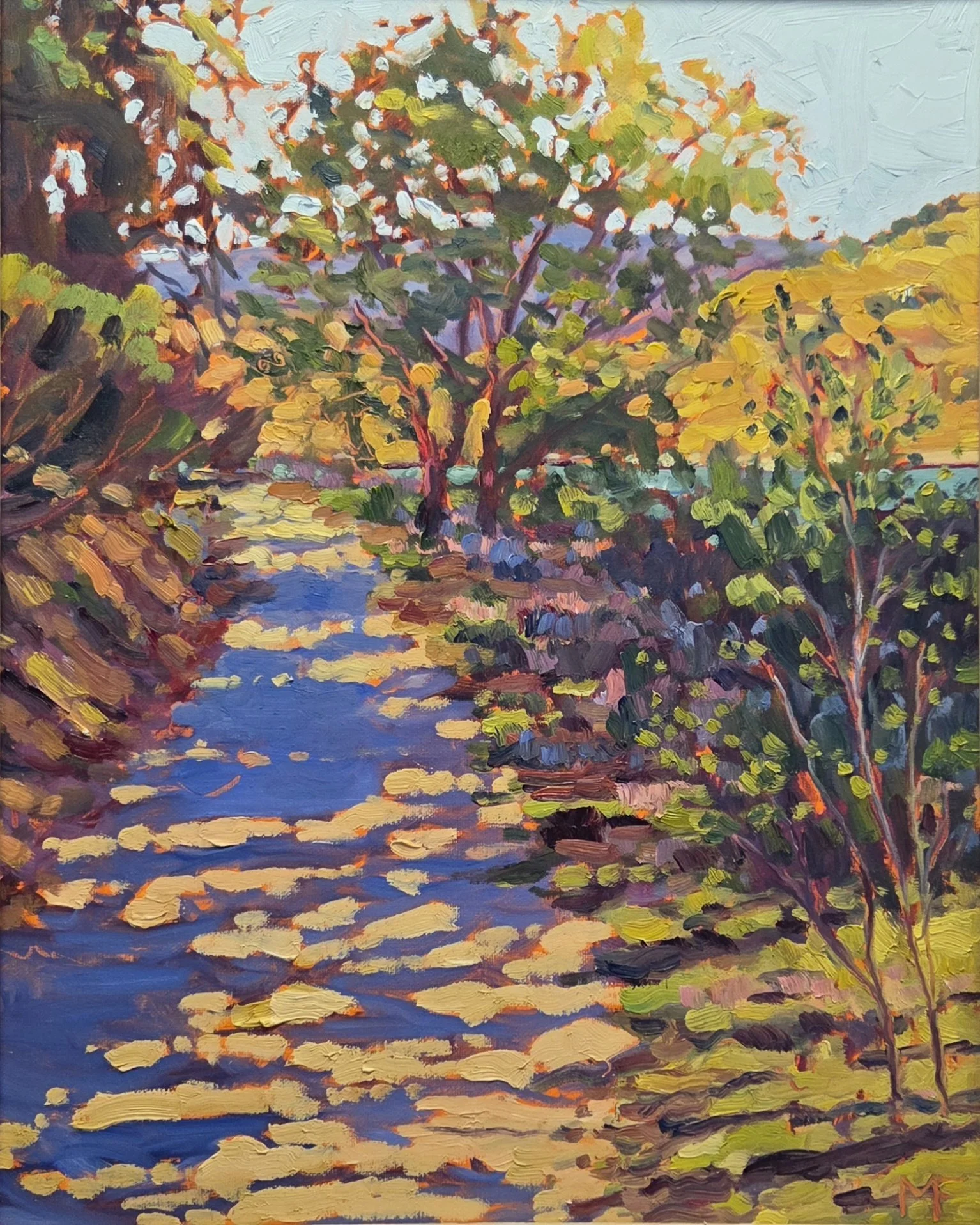 Lake Casitas Trail.jpg