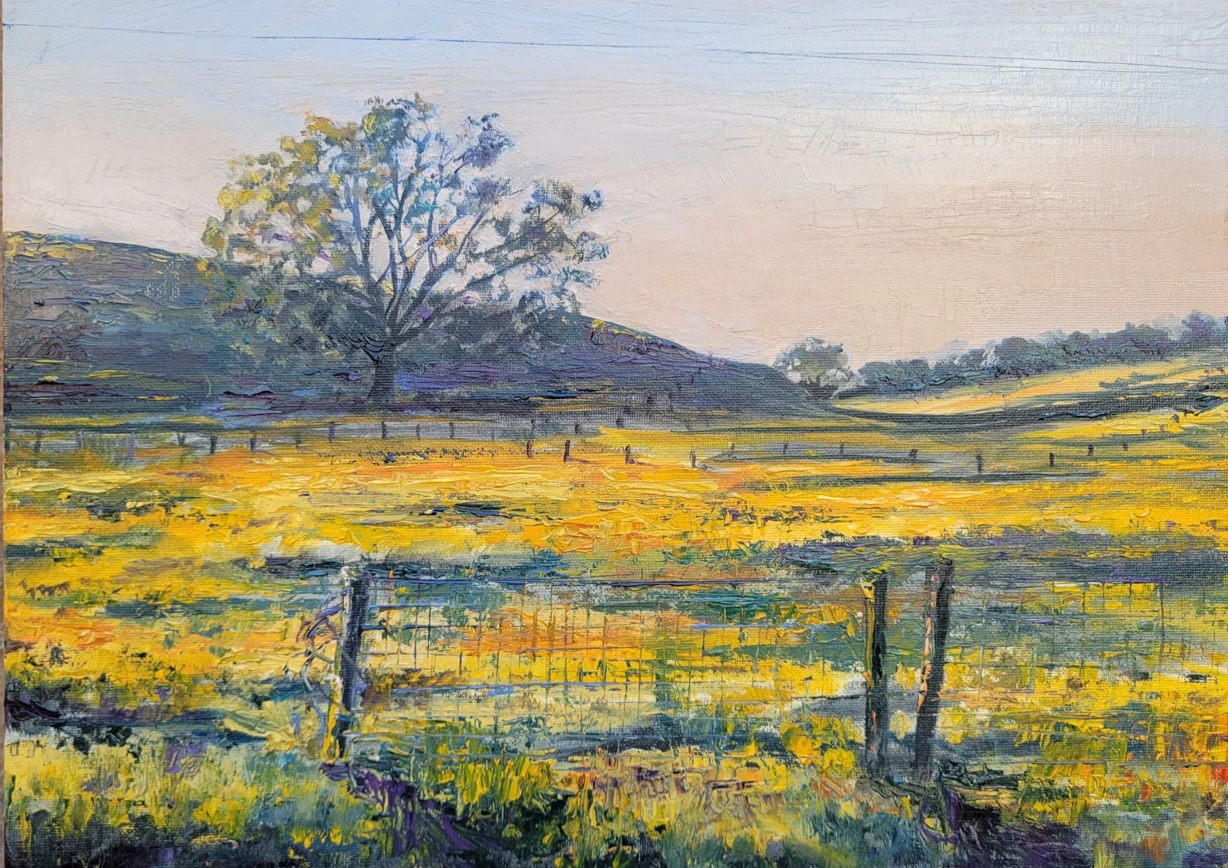 Plymouth CA 12 by 16.jpg