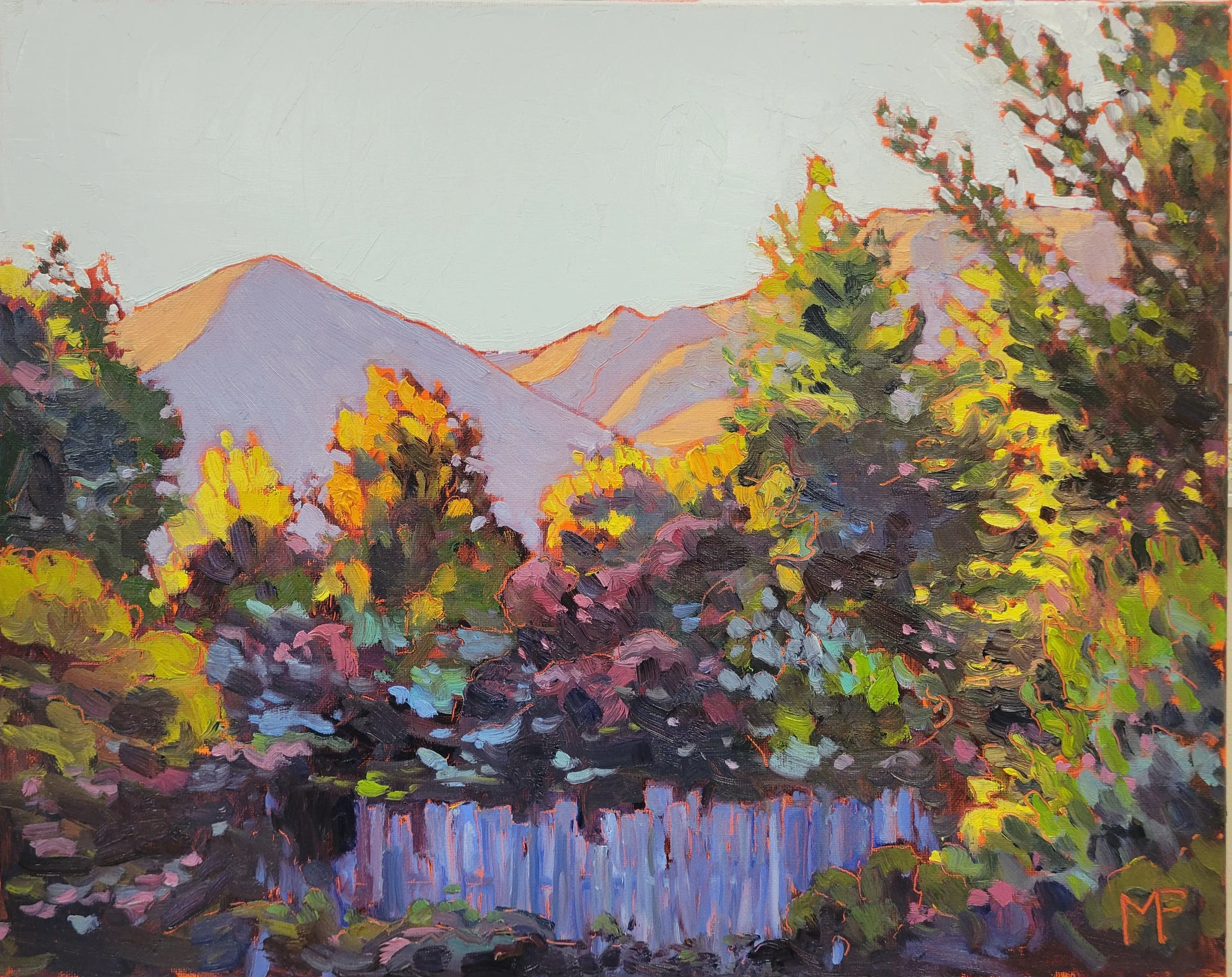 Ojai Morning Shadows 16 by 20 .jpg