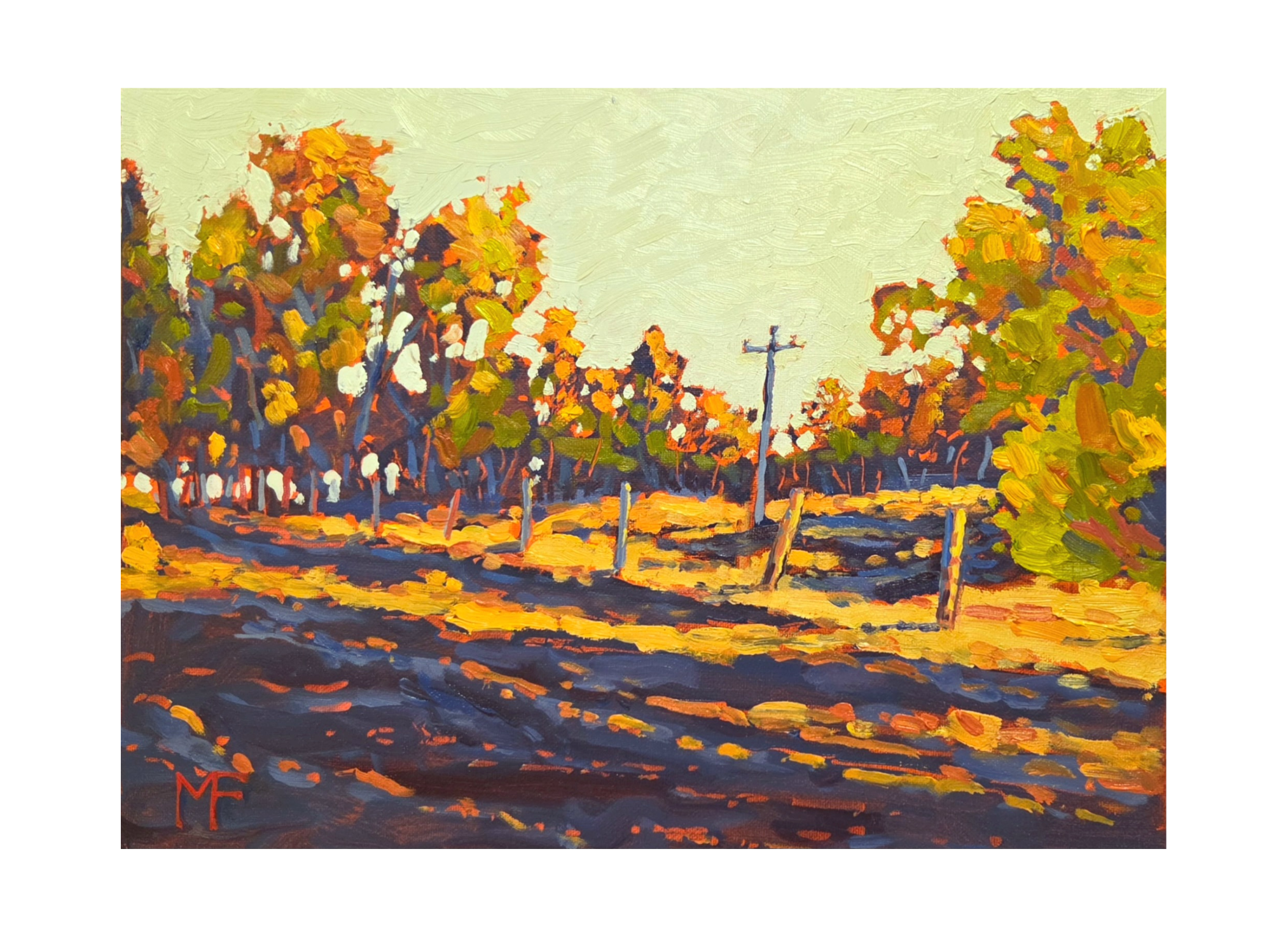 Untitled design (2).png