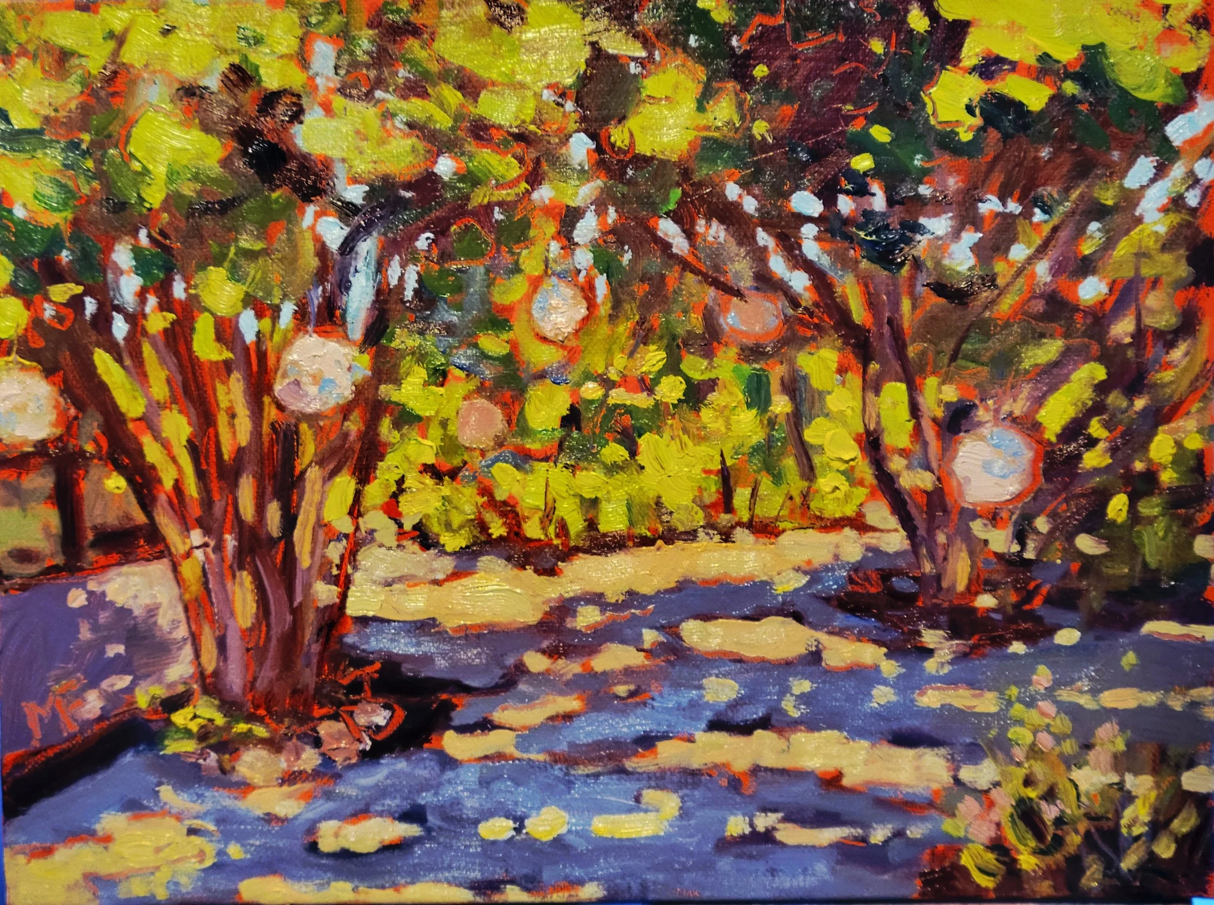 Chris ojai Patio 8 by 10 .jpg