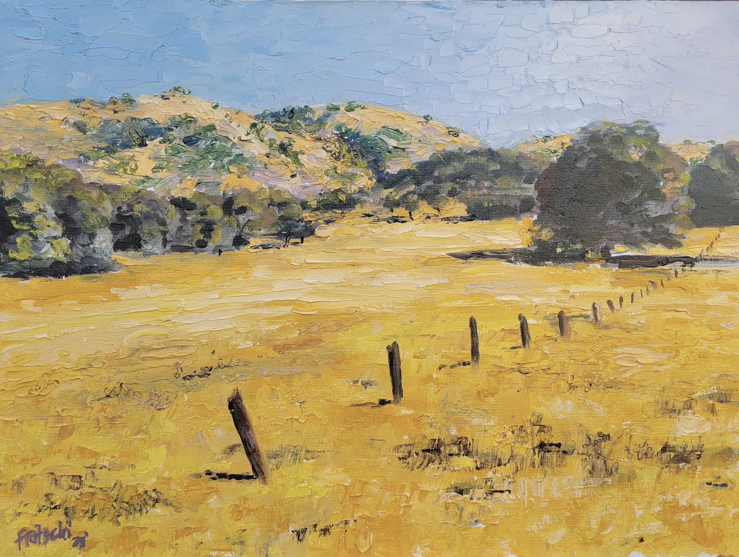 Pilot Hill 12 by 16.jpg