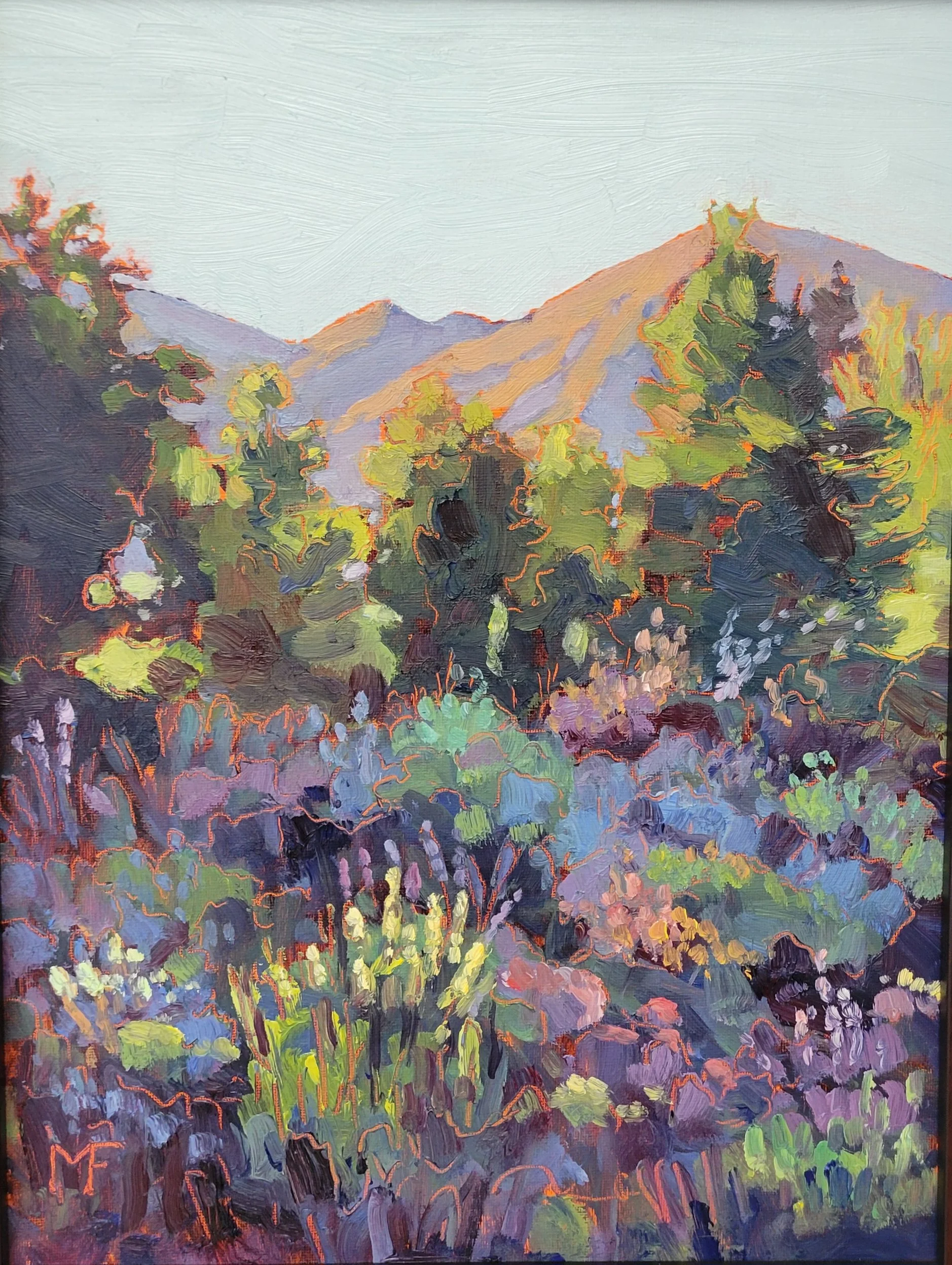 $400 Morning Shadows Ojai - 12 by 16.jpg