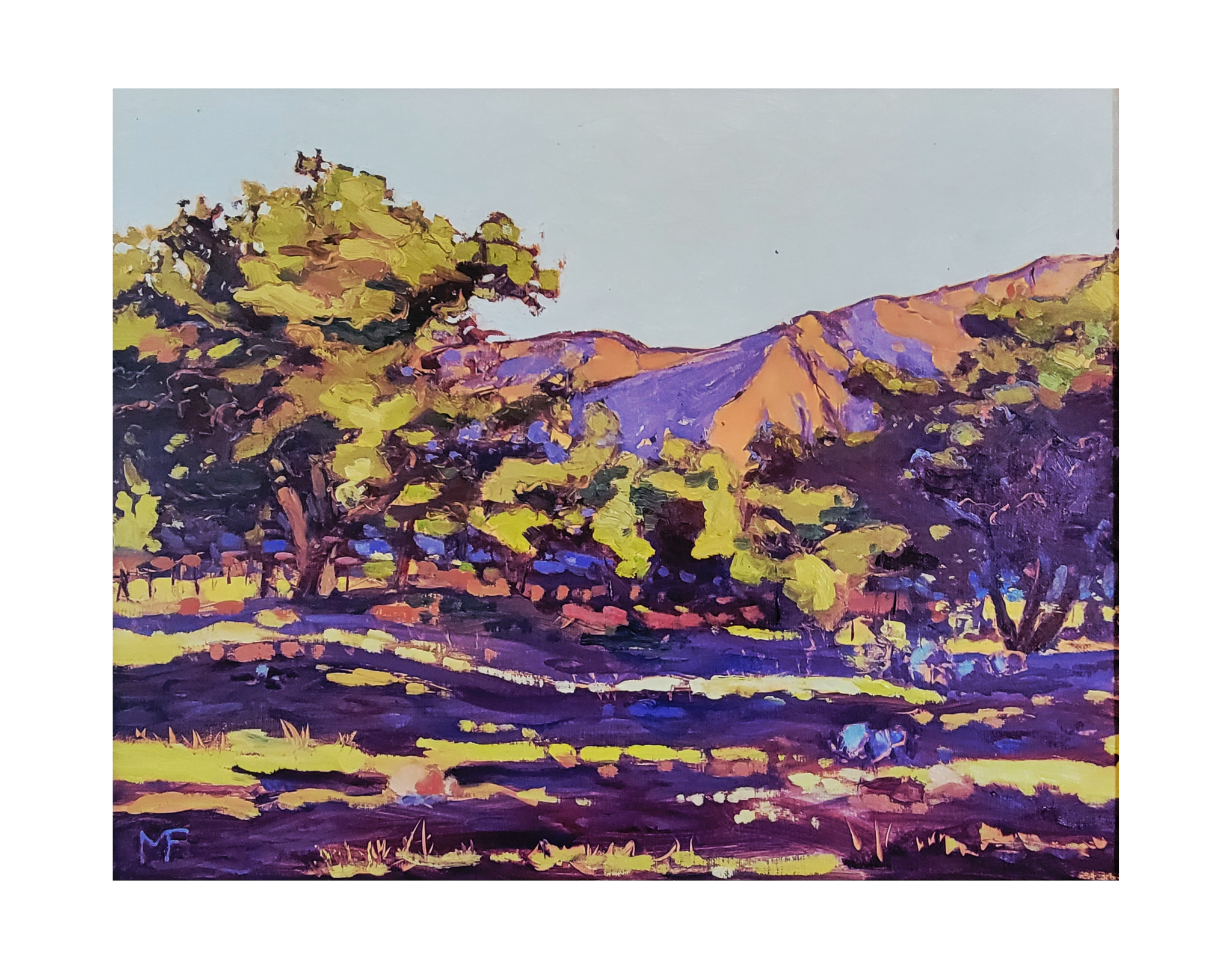 Morning Shadows Ojai CA