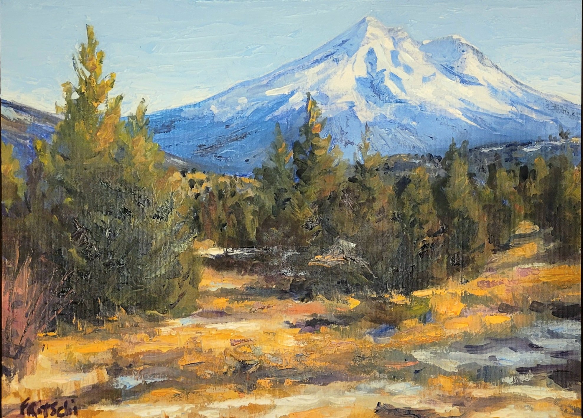 Mt Shasta 12 by 16.jpg