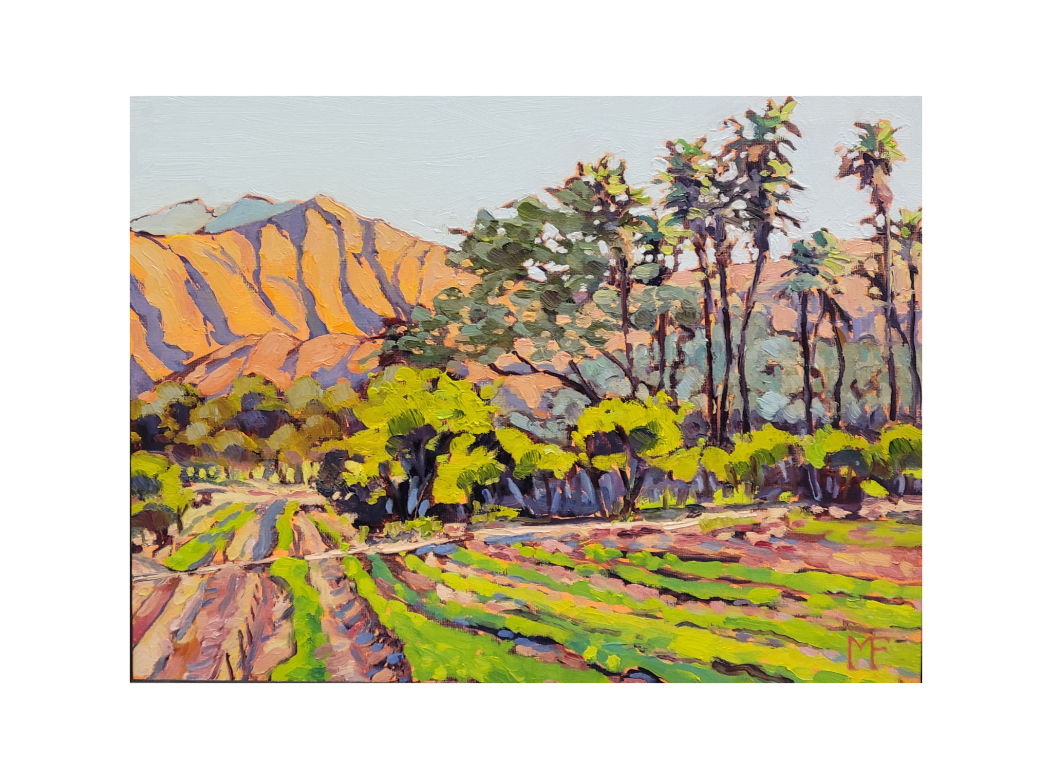 Ojai Glory