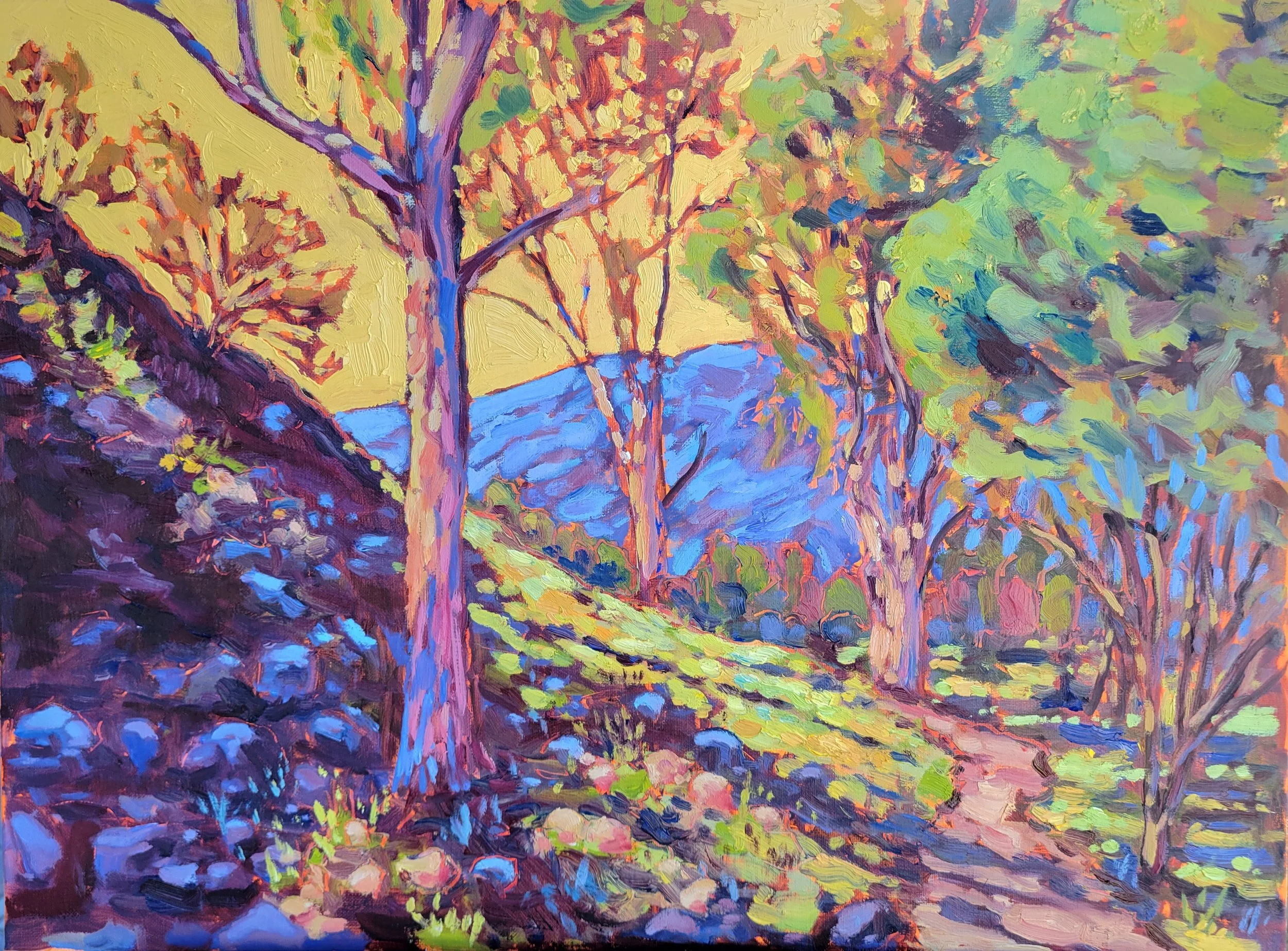 $750 Los Padres trail Ojai 18 by 24.jpg