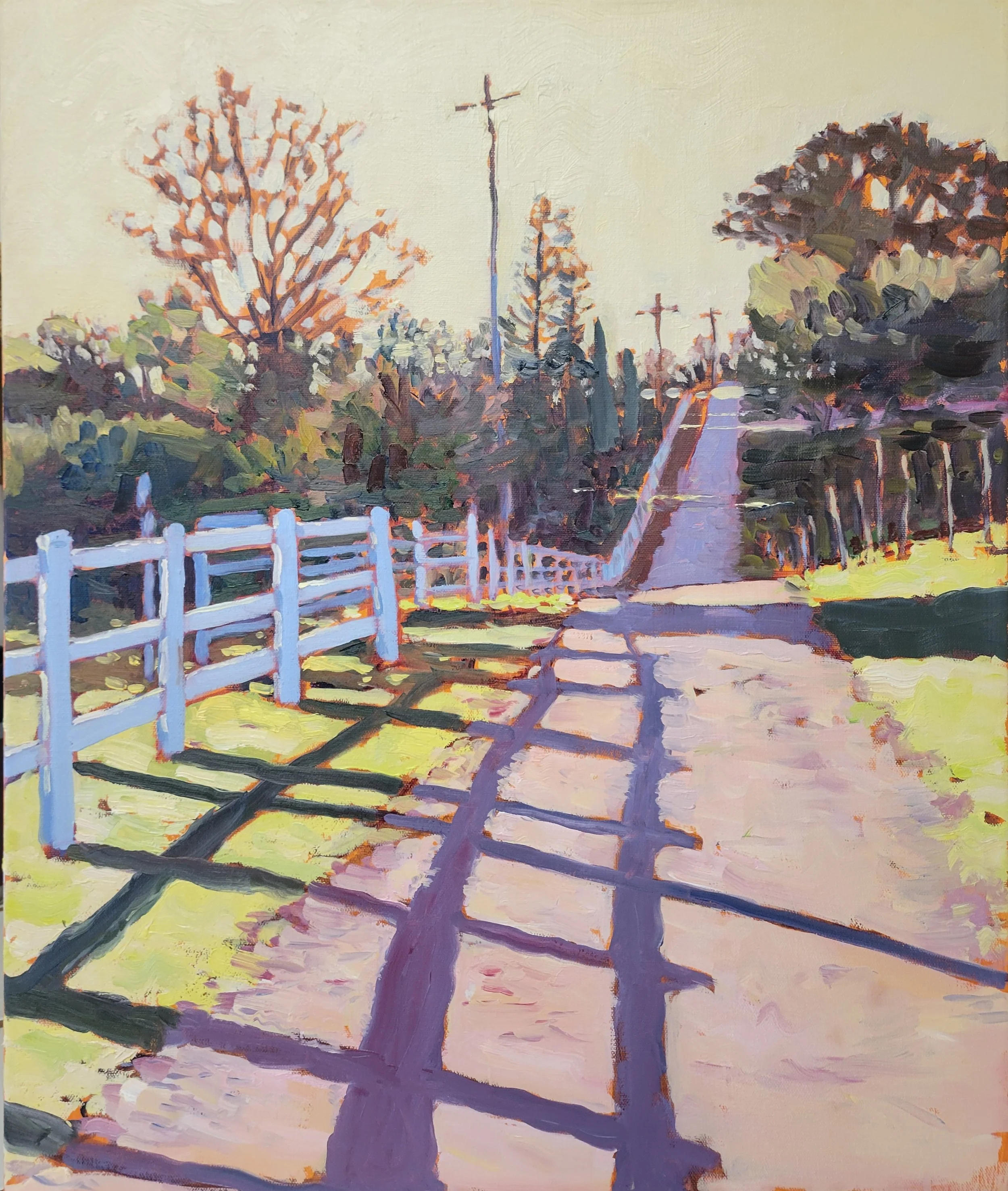 Gold Hill Shadows 20 by 24.jpg